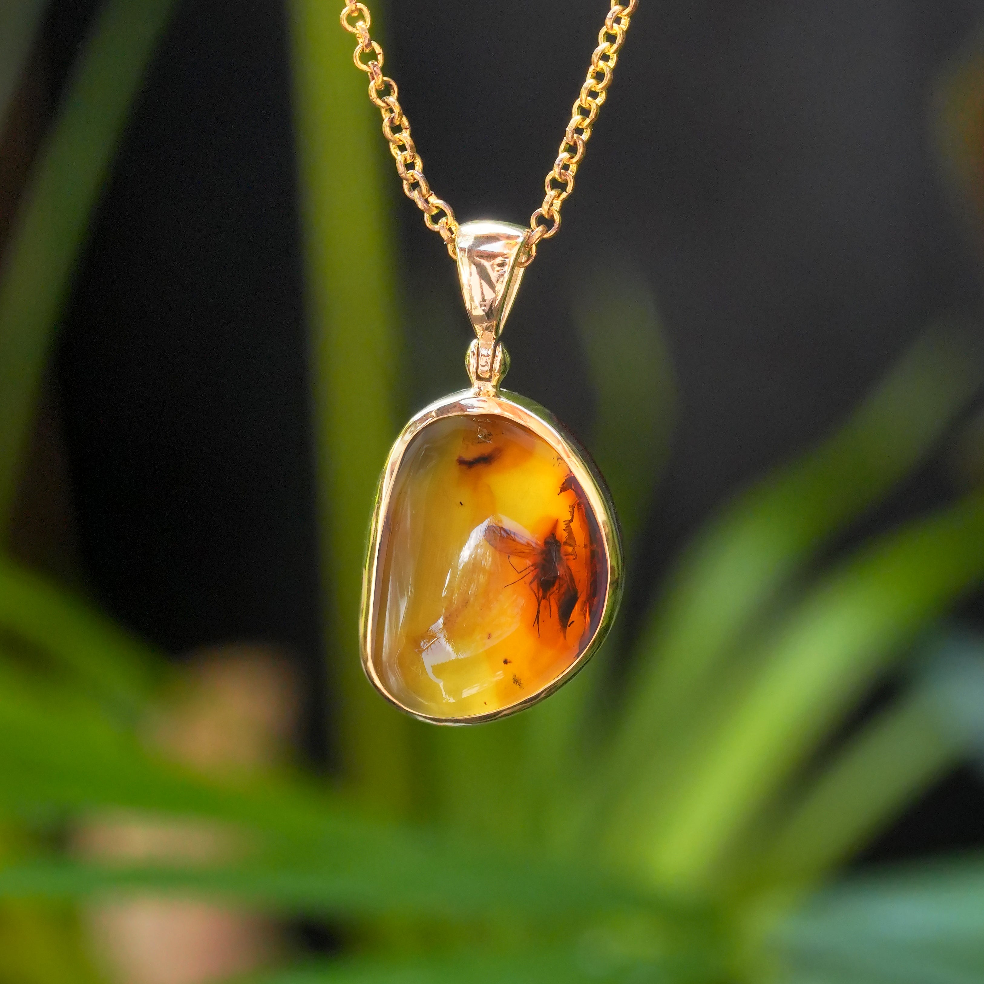 Starborn Baltic Amber with Insect Inclusion Pendant in Nordic Gold