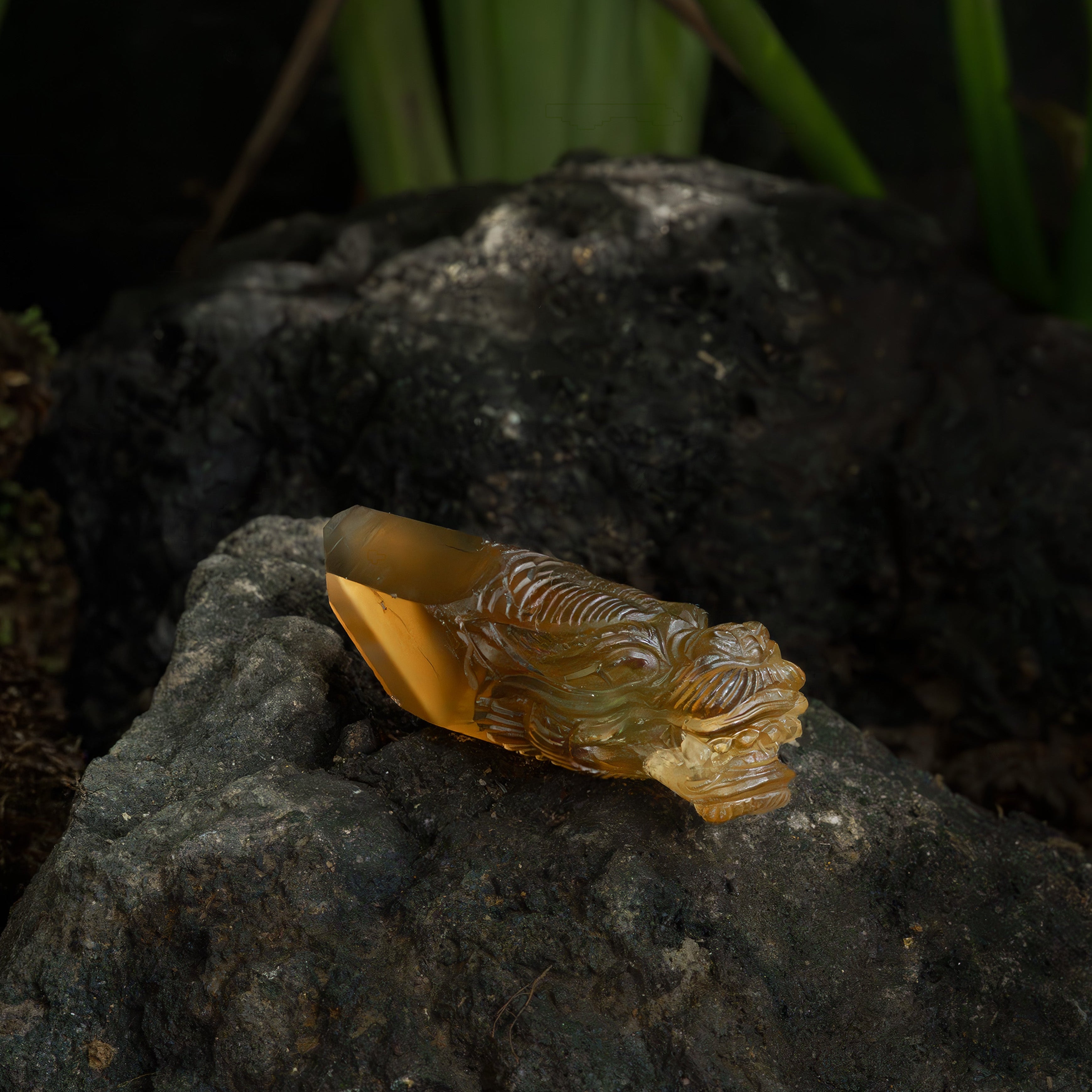 Starborn Hand Carved Unheated Natural Citrine Dragon Head - 1 Piece