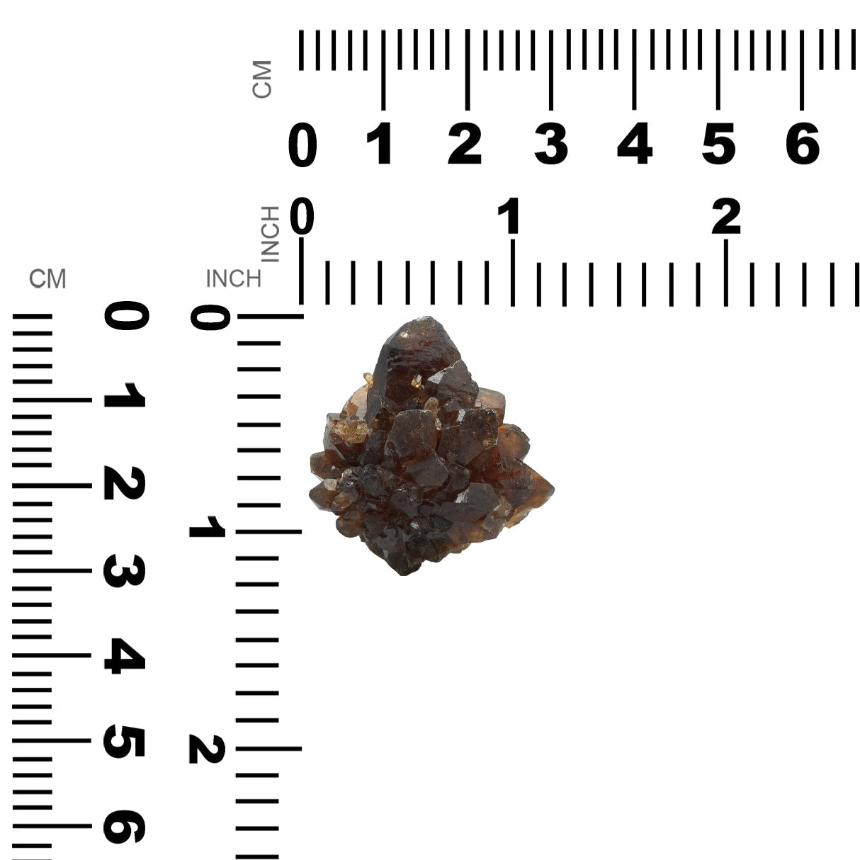 Espécimen de cristal de racimo de citrino natural Starborn de 61,5 quilates - 1 pieza