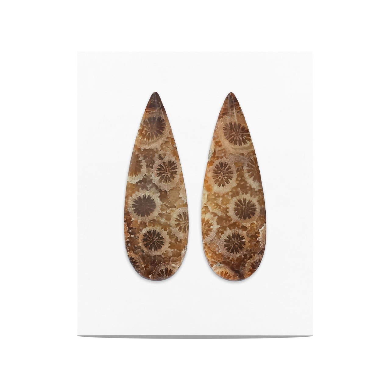 Fossil Coral Pear Cabochon 30x10 mm