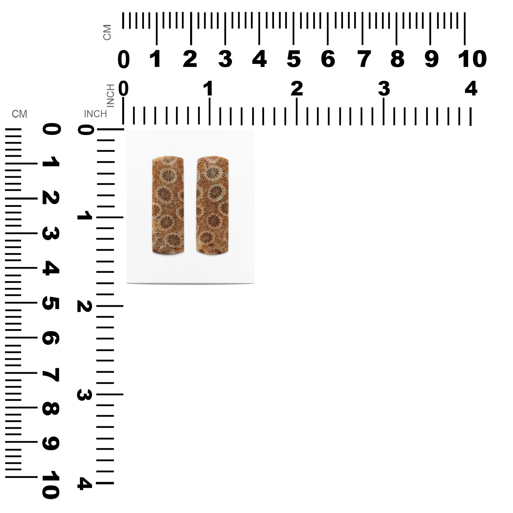 Fossil Coral Rectangle Cabochon 29x9 mm
