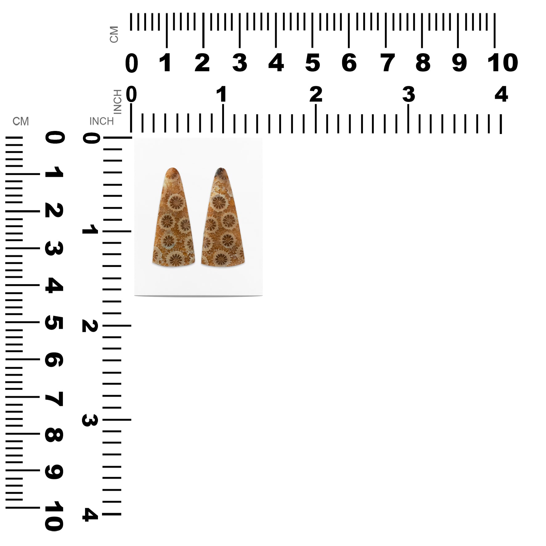 Fossil Coral Triangle Cabochon 28x12 mm