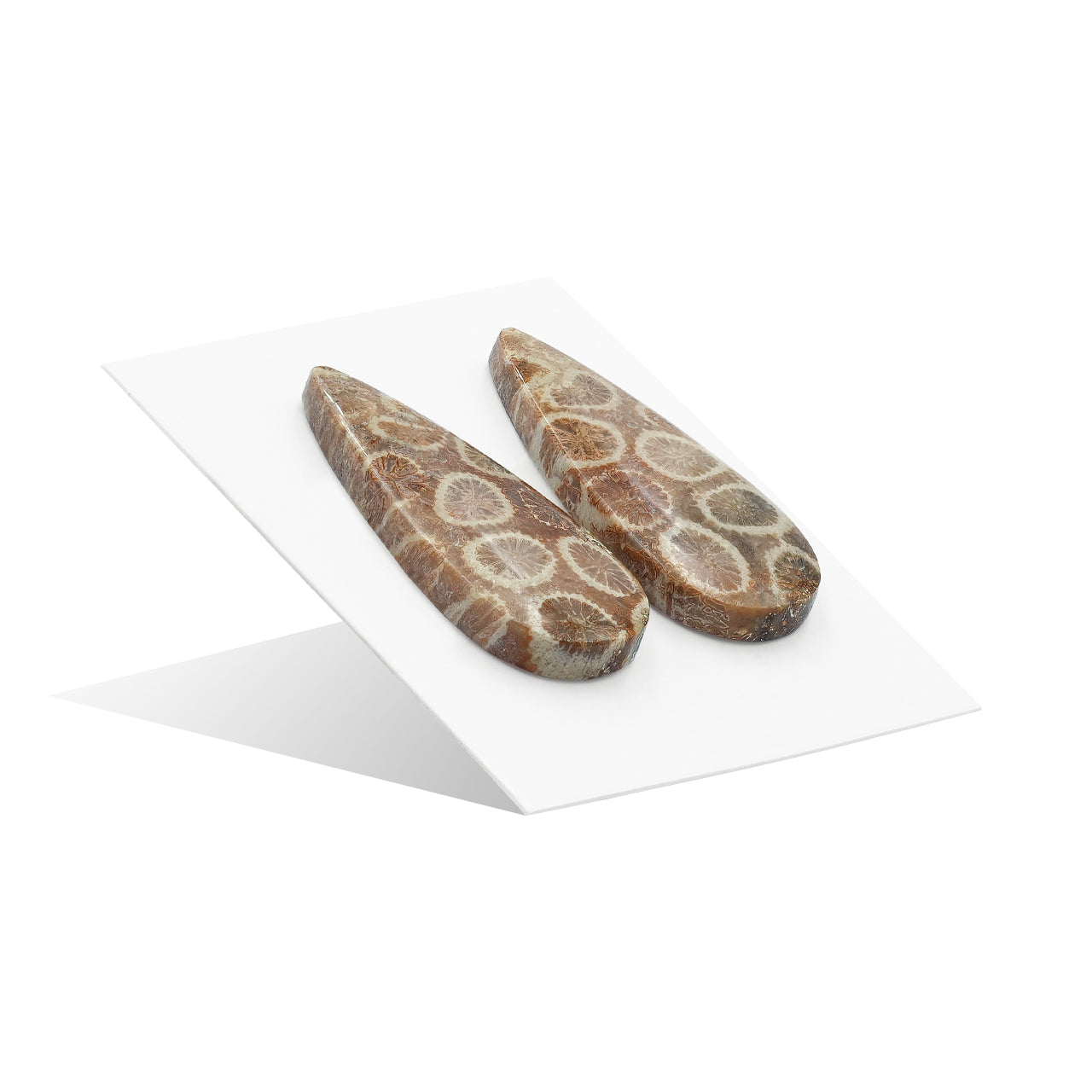 Fossil Coral Pear Cabochon 28x12 mm