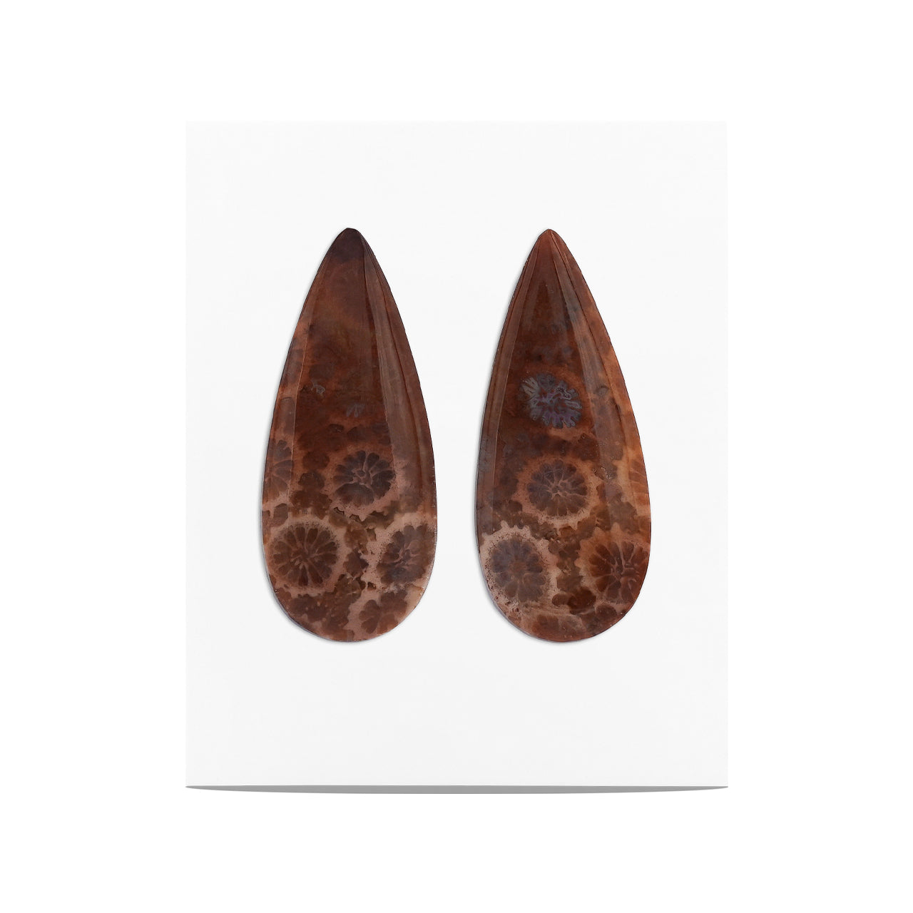 Fossil Coral Pear Cabochon 28x12 mm