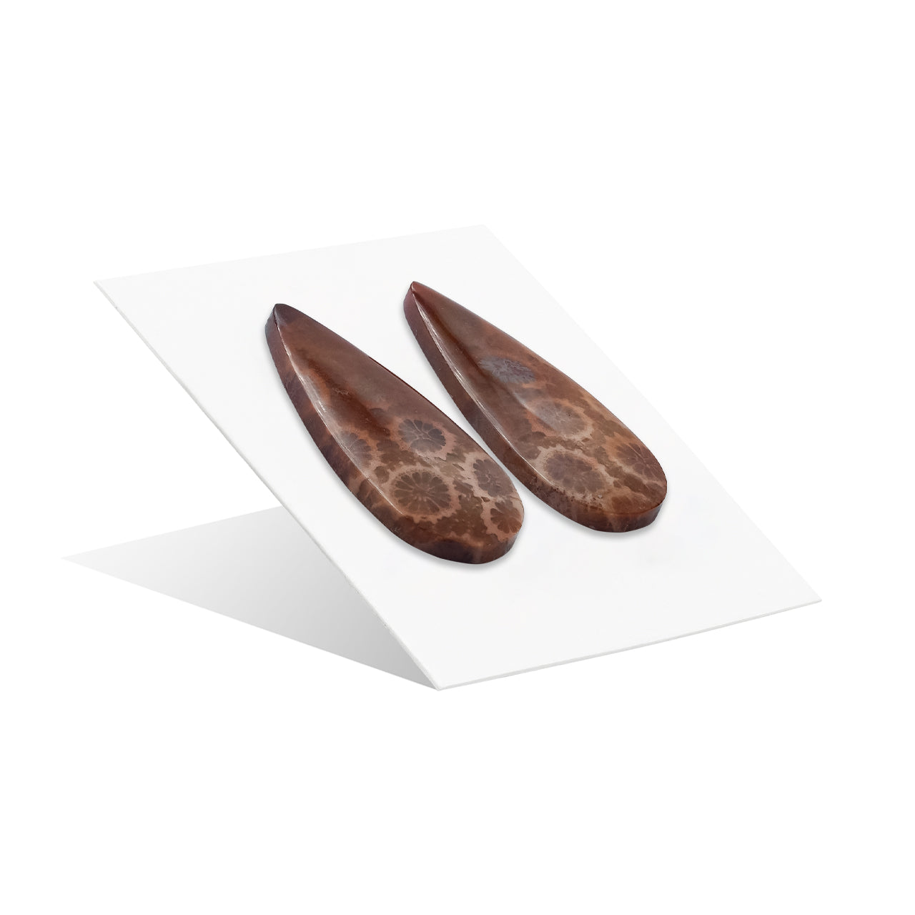Fossil Coral Pear Cabochon 28x12 mm