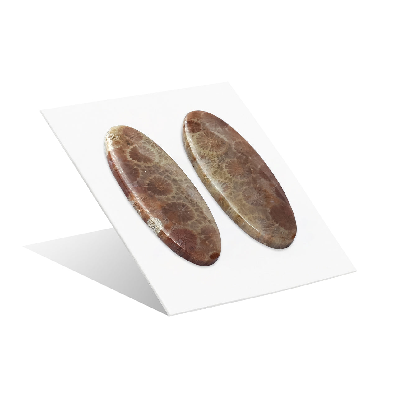 Fossil Coral Oval Cabochon 32x13 mm