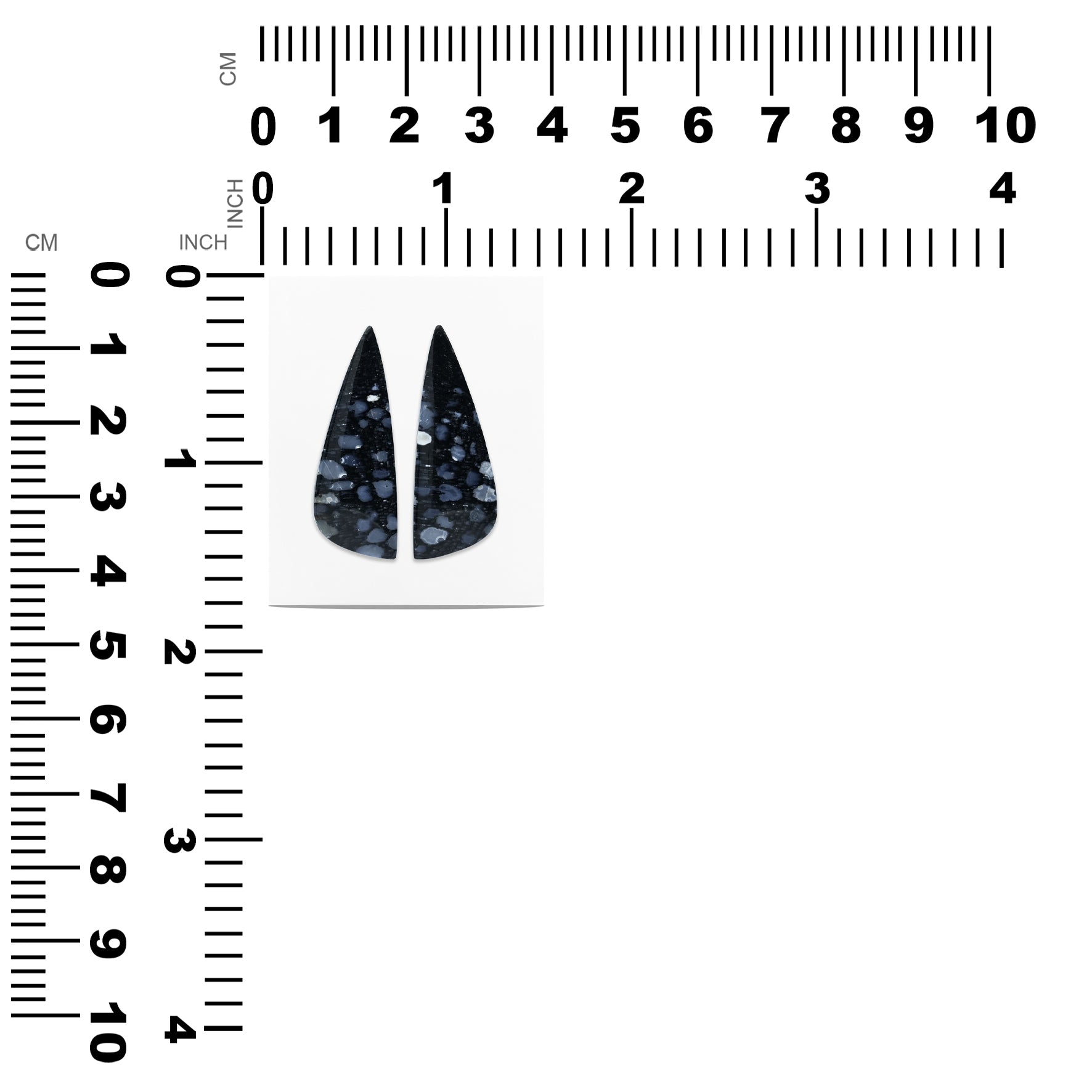 Fossil Palm Root Freeform Cabochon 32x11 mm - 1 pair