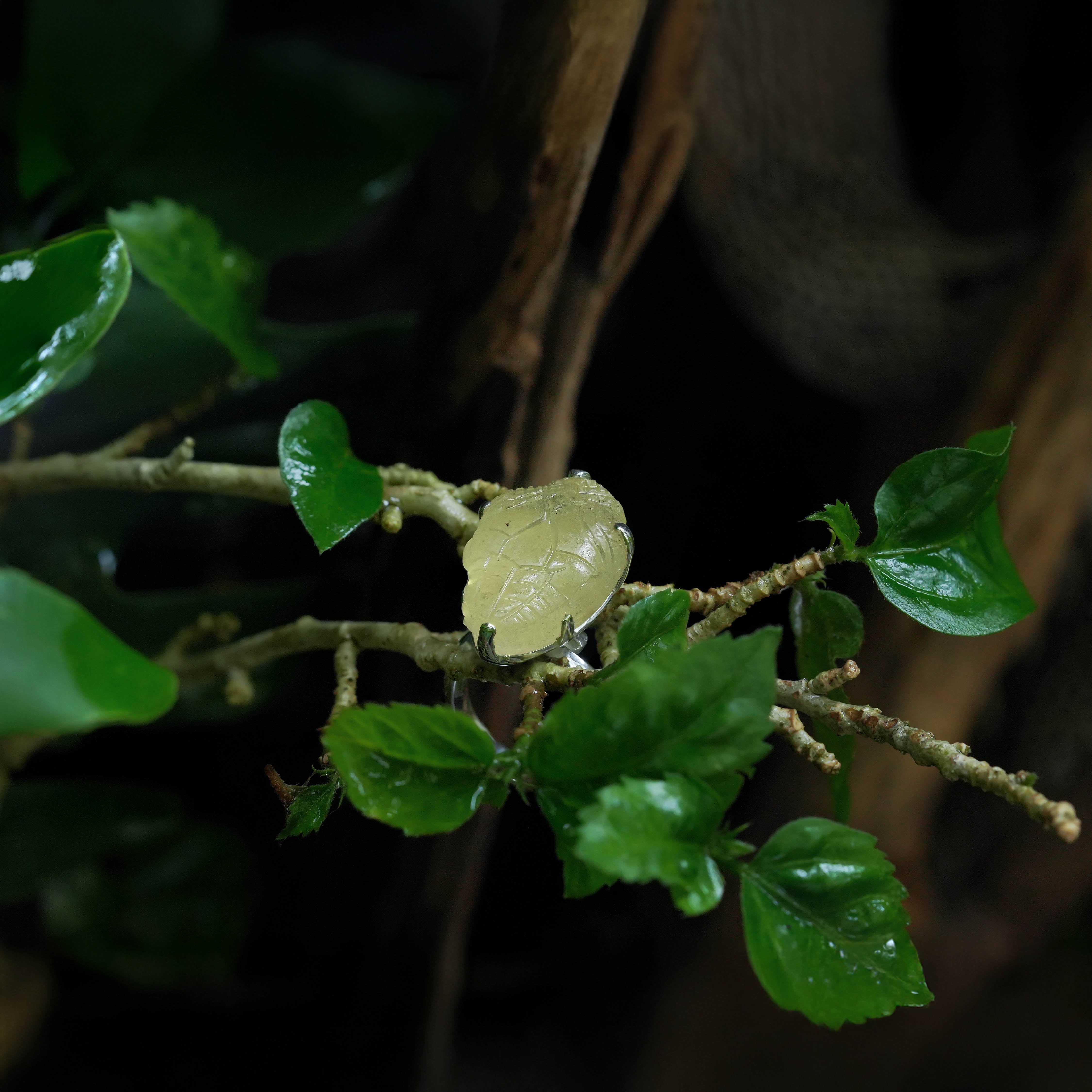 Starborn Hand-Carved Libyan Desert Tektite Snake Head Ring in Sterling Silver - Size 8