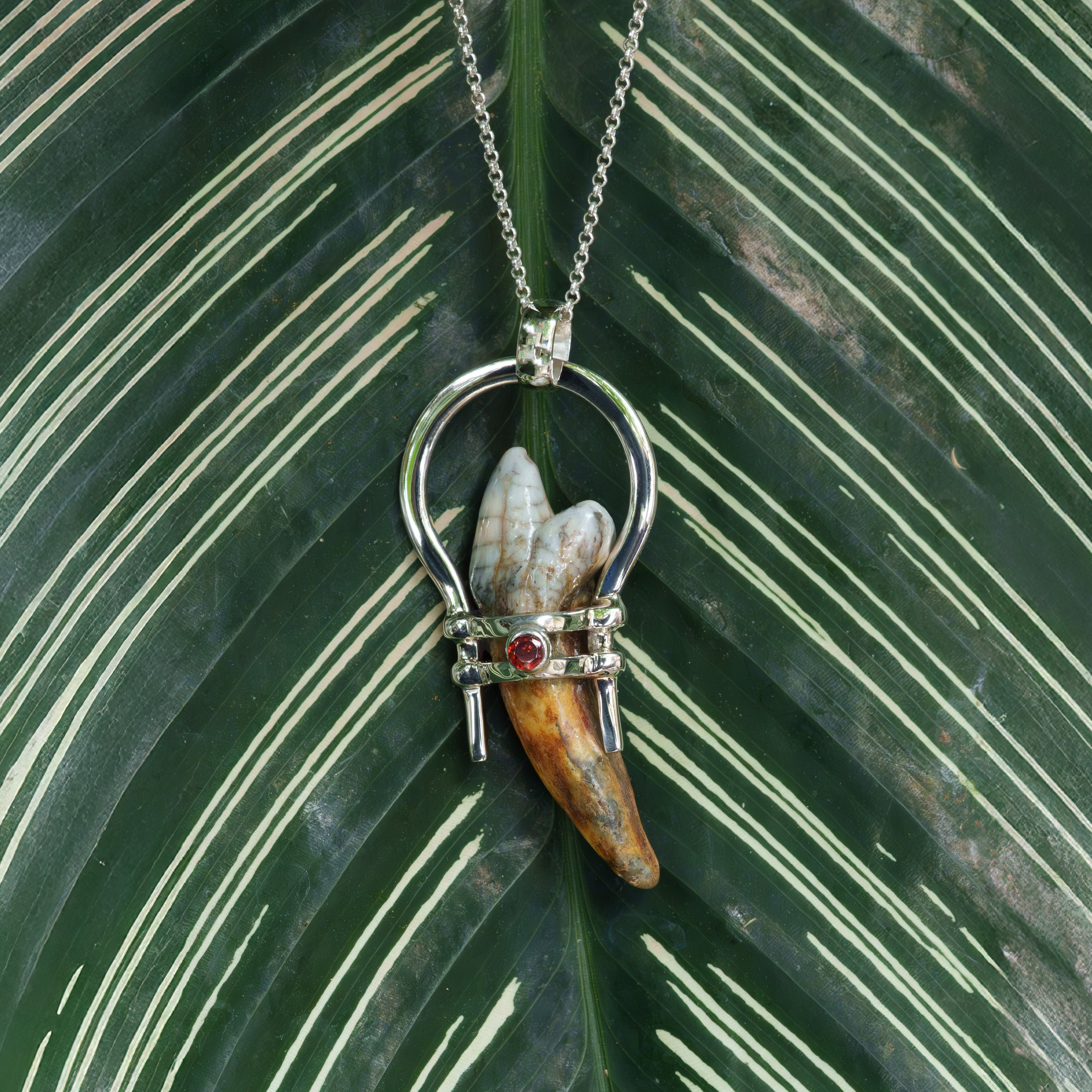 Starborn Fossil Cave Bear Tooth Pendant with Garnet Accent in Sterling Silver