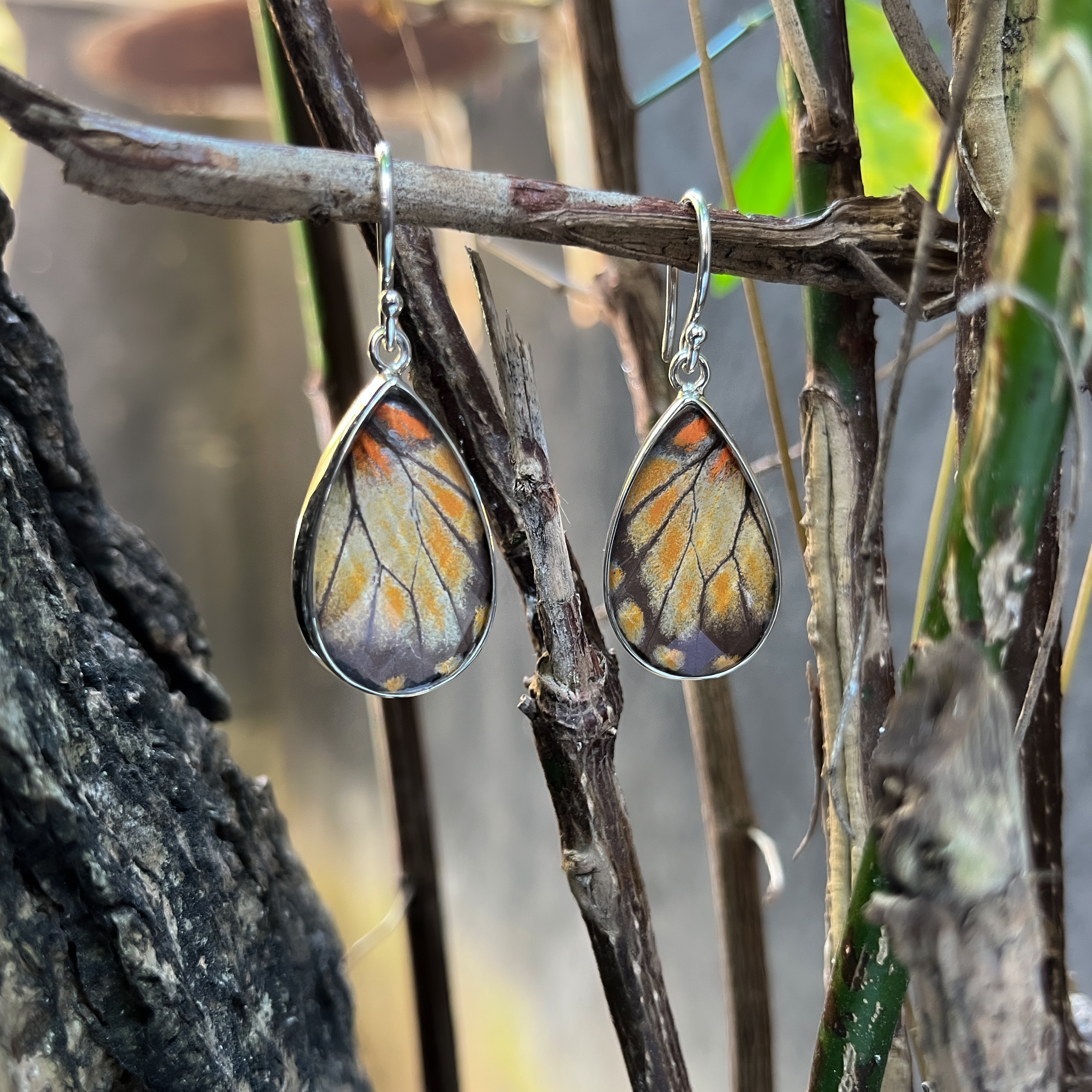 Starborn Butterfly Wing Earrings in Sterling Silver