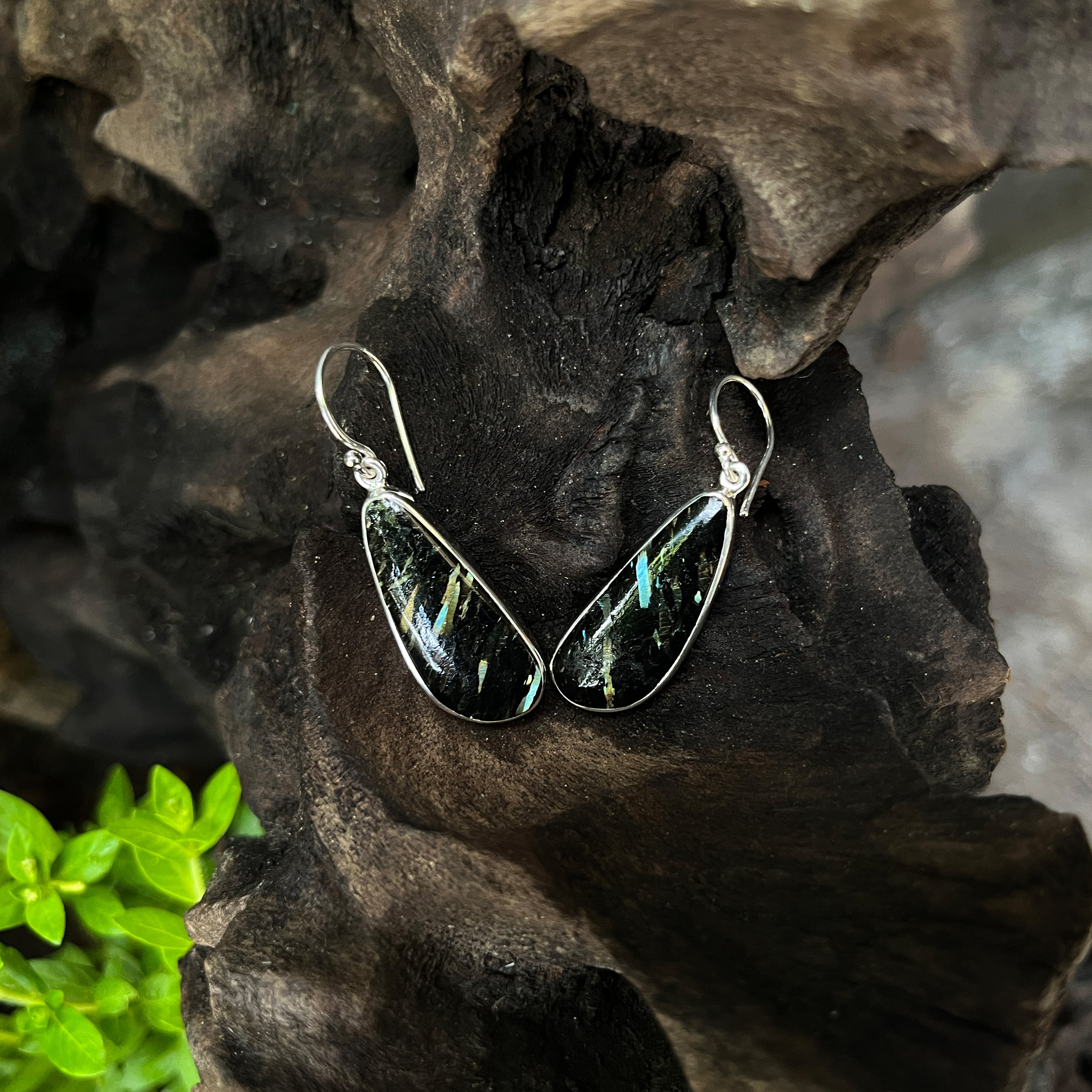 Starborn Nuummite Dangle Earrings in Sterling Silver