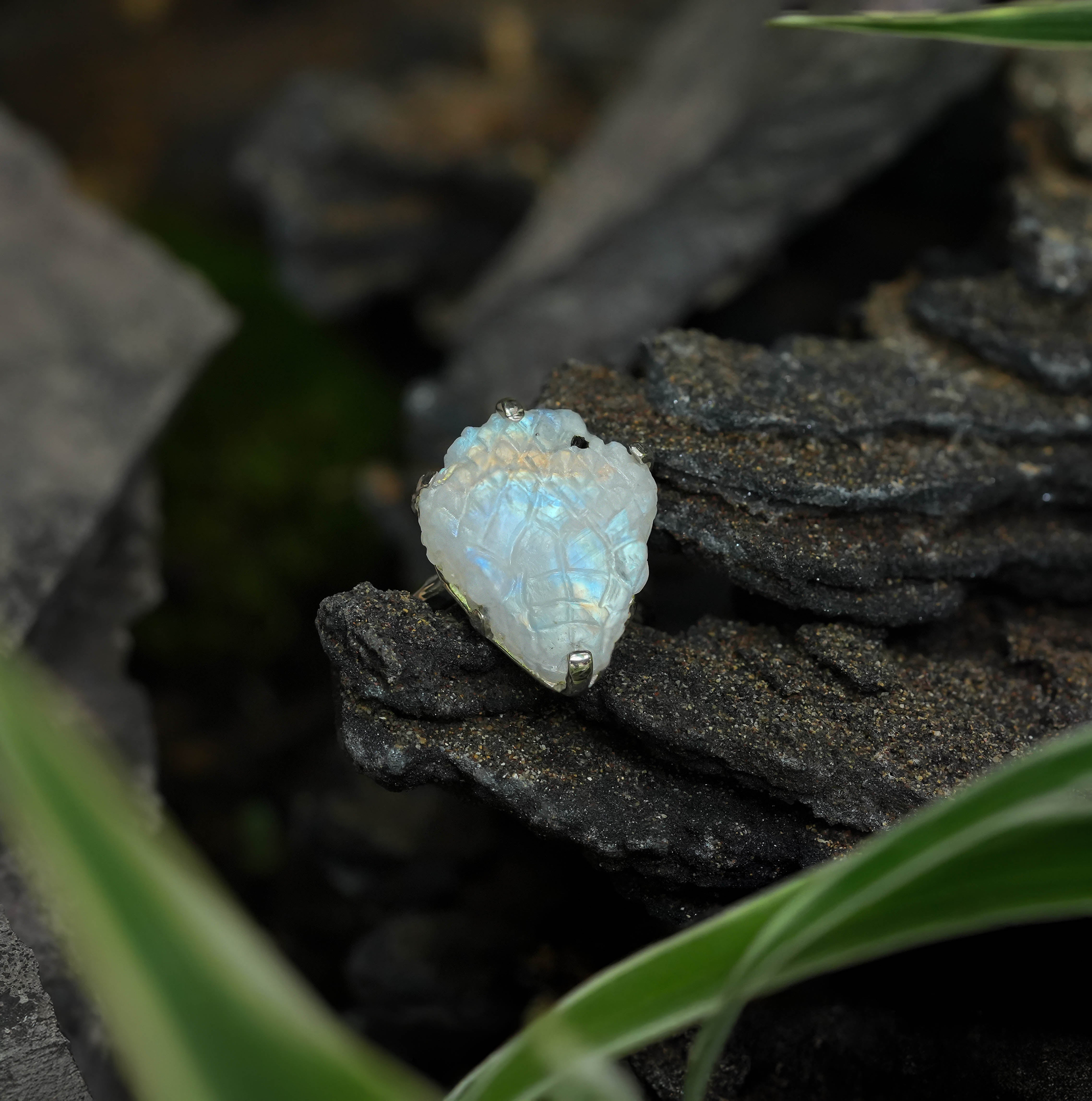 Anillo de cabeza de serpiente Starborn de piedra lunar arcoíris tallada a mano en plata de ley - Talla 7