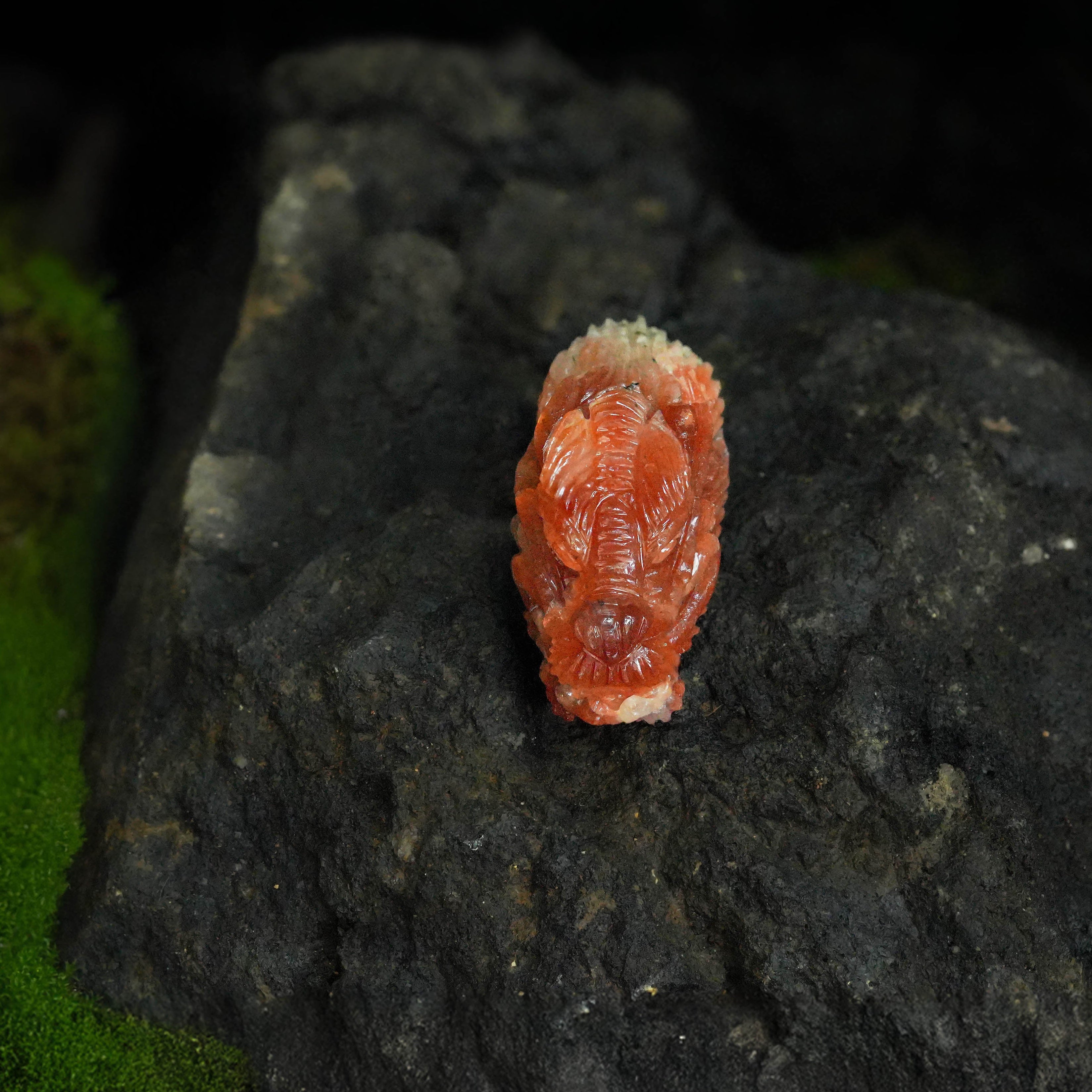 Starborn Hand-Carved Dragon Head Sunstone Carving - 1 Piece