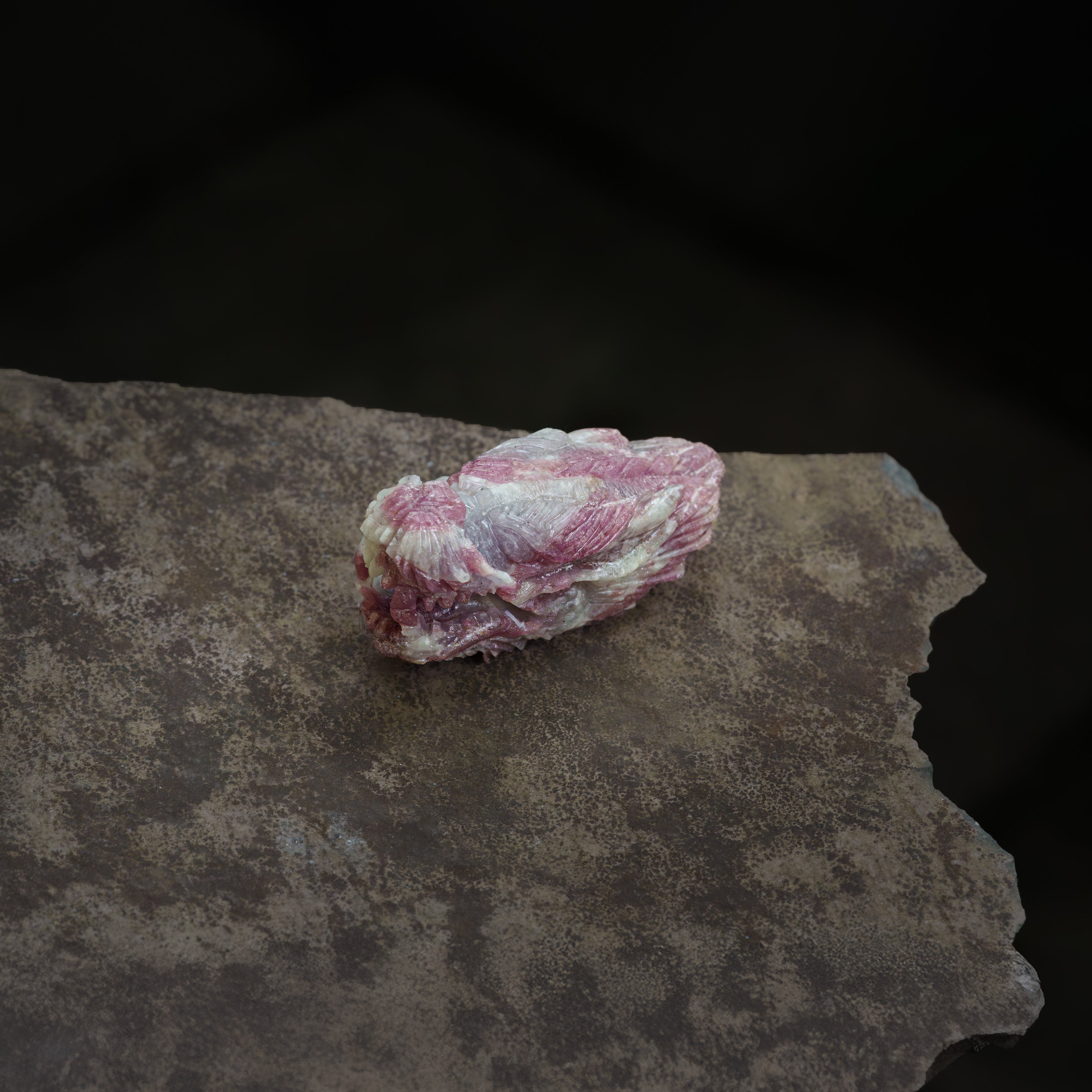 Cabeza de dragón de turmalina rubelita tallada a mano Starborn