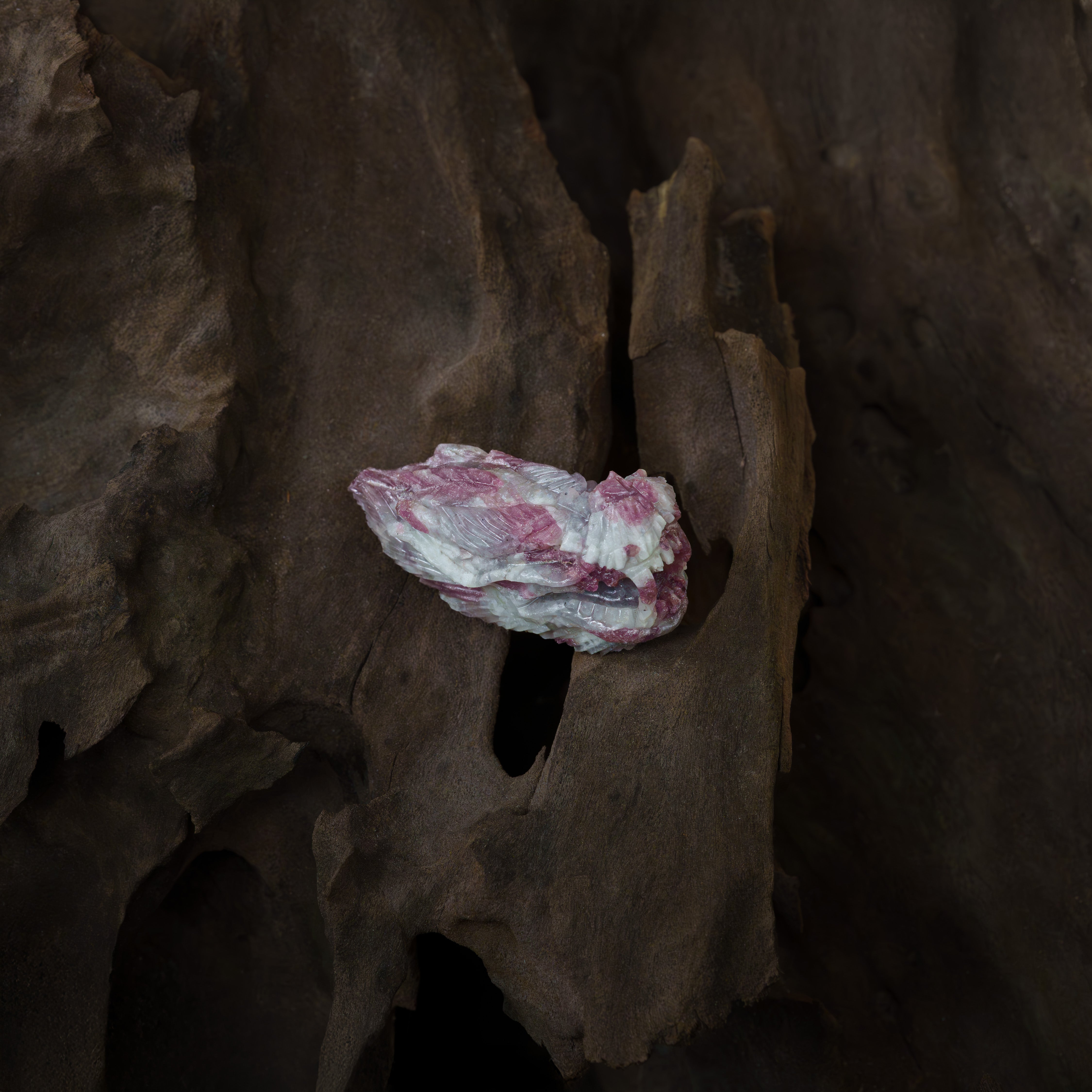 Starborn Hand-Carved Rubellite Tourmaline Dragon Head