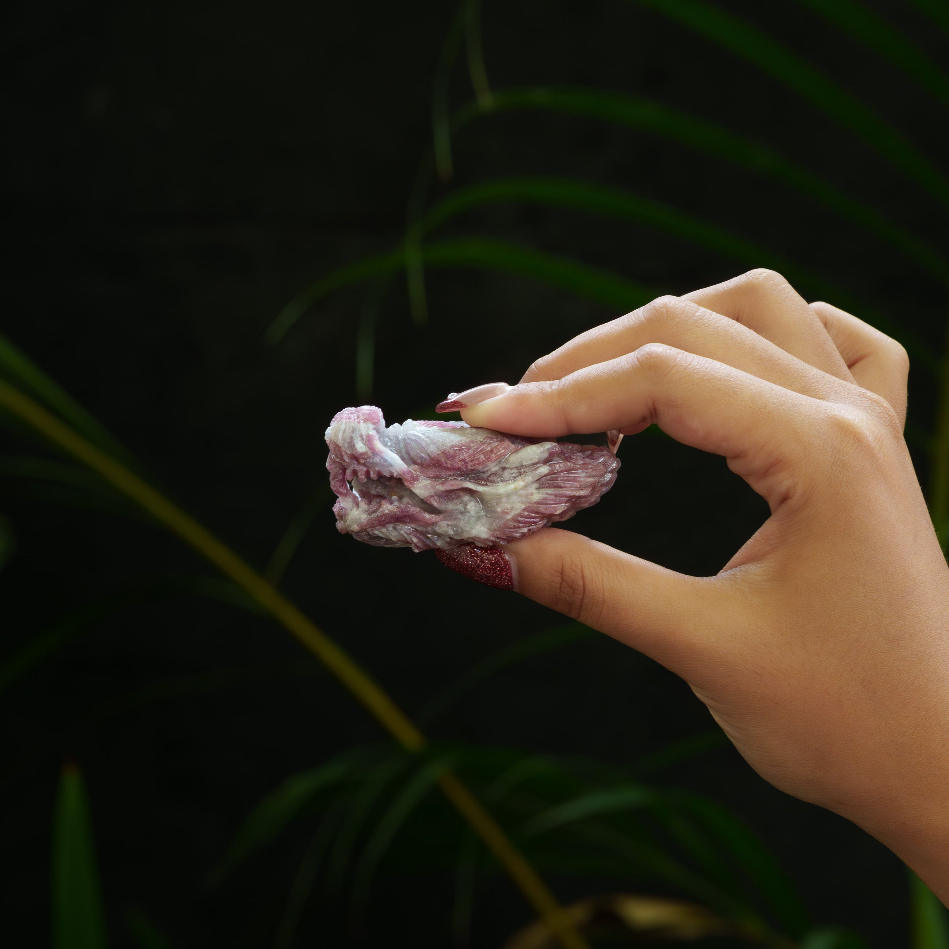 Cabeza de dragón de turmalina rubelita tallada a mano Starborn