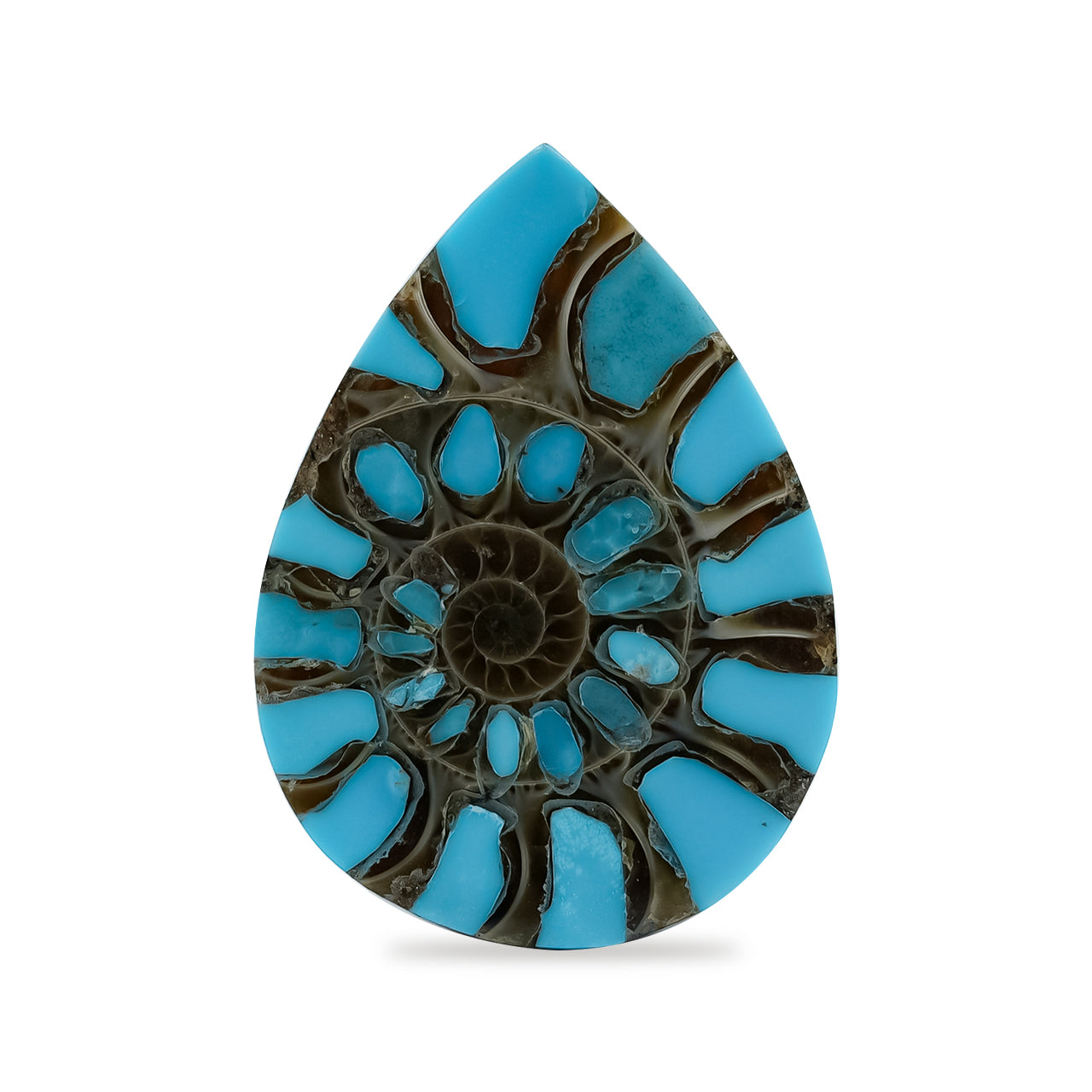 Ammonite with Turquoise Inlay Pear Cabochon