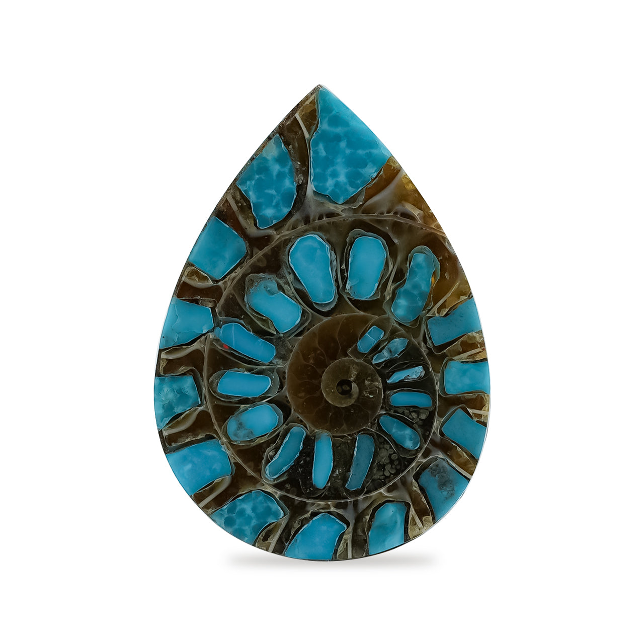 Ammonite with Turquoise Inlay Pear Cabochon