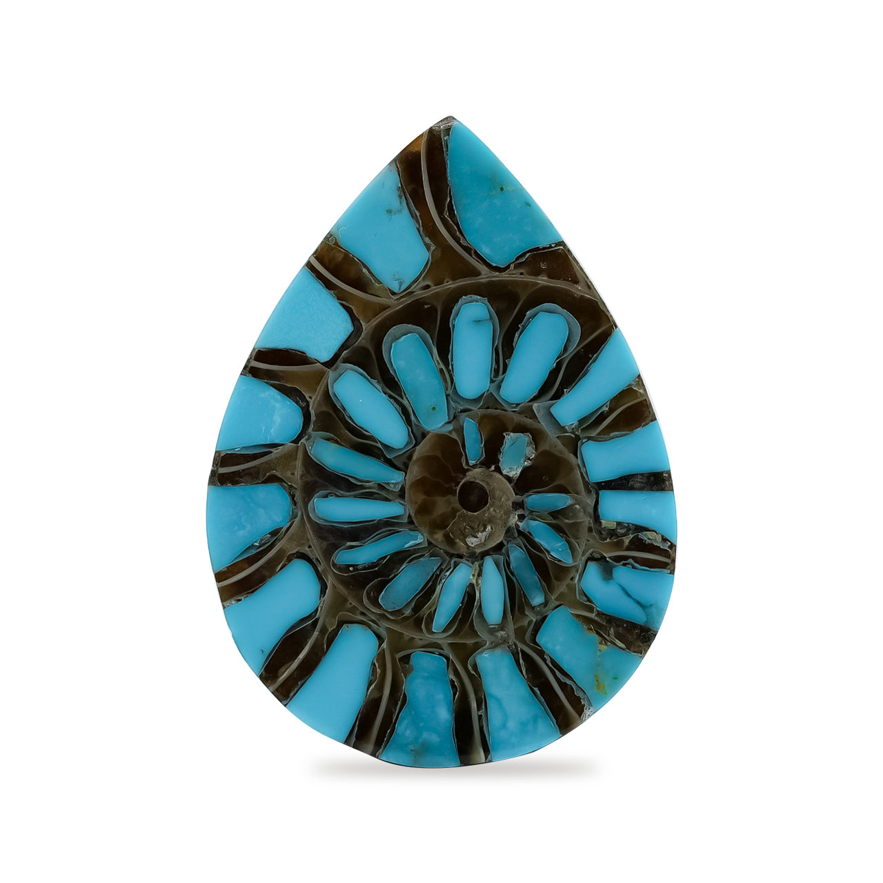 Ammonite with Turquoise Inlay Pear Cabochon