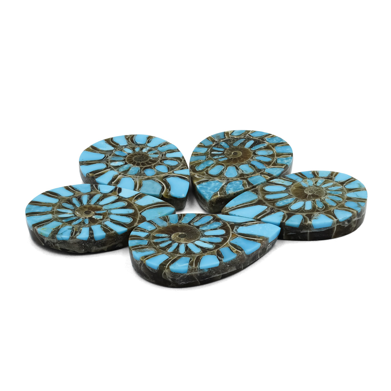 Ammonite with Turquoise Inlay Pear Cabochon