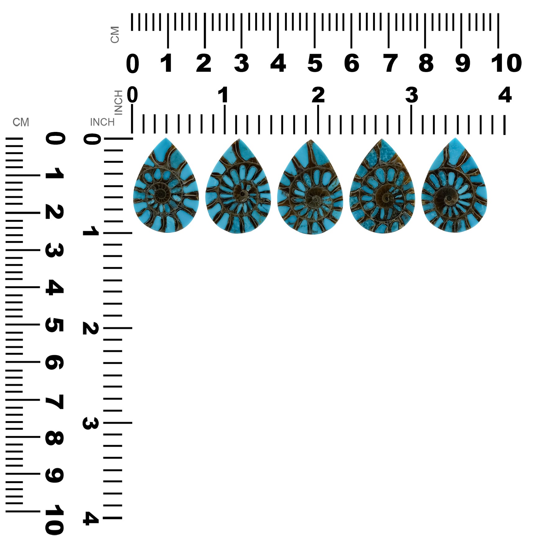 Ammonite with Turquoise Inlay Pear Cabochon