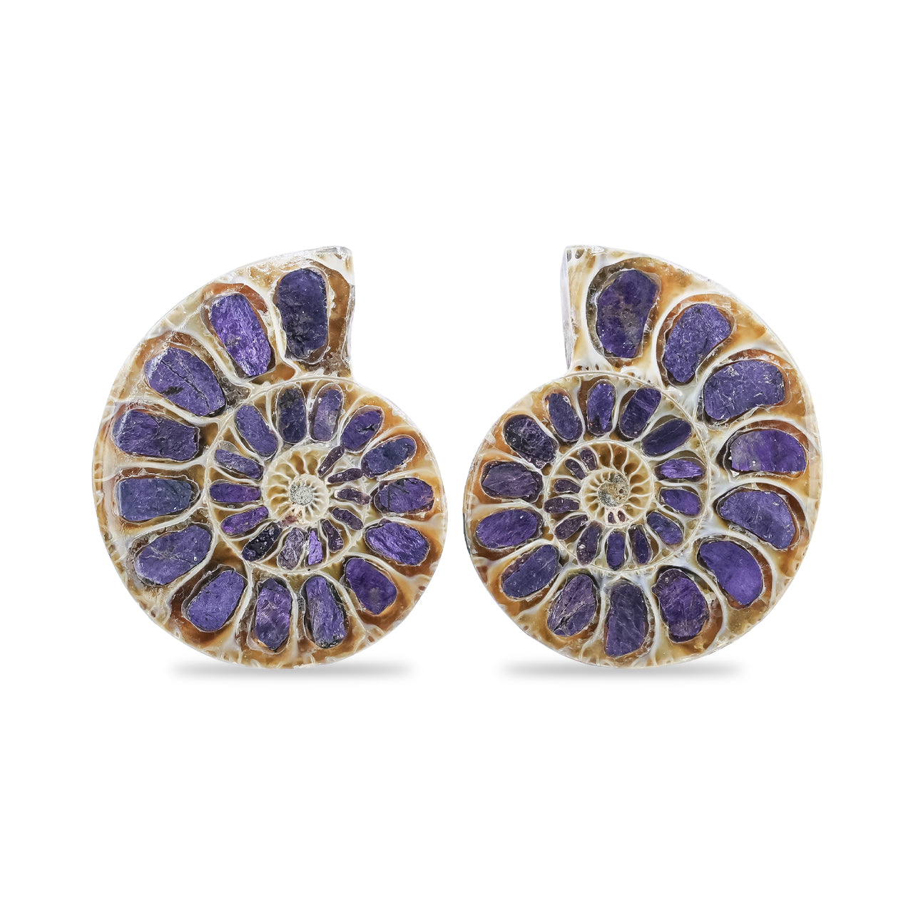 Ammonite Half with Purpurite Inlay Cabochon 25-28 mm