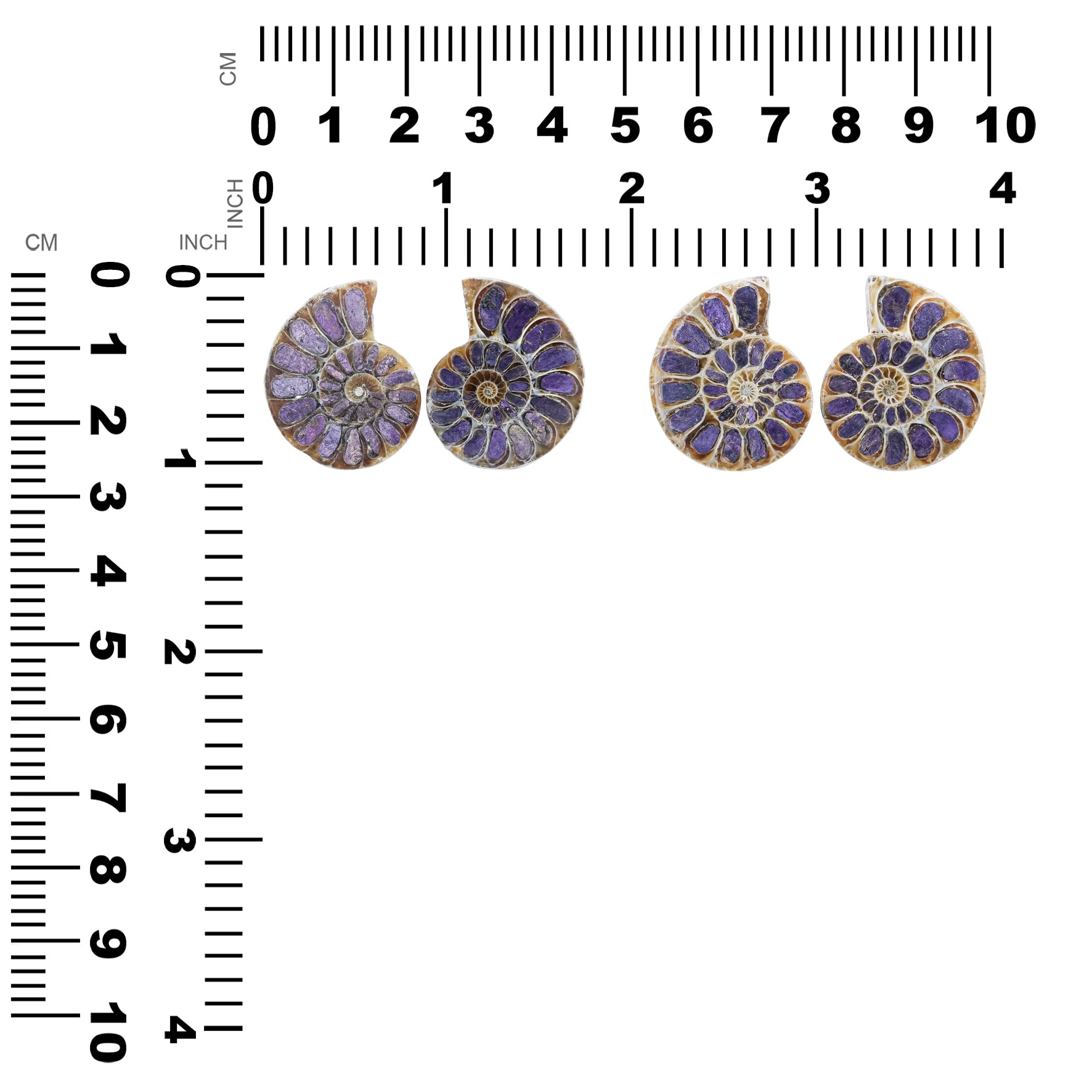 Ammonite Half with Purpurite Inlay Cabochon 25-28 mm