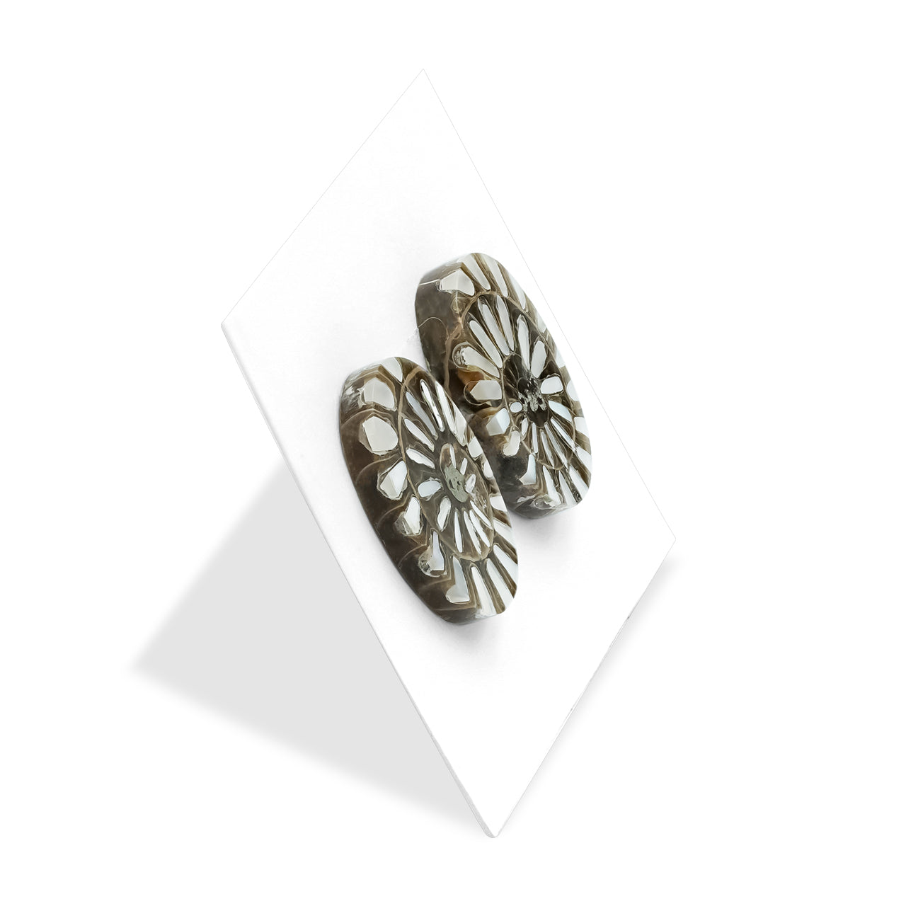 Ammonite with Mother of Pearl Inlay Oval Cabochon