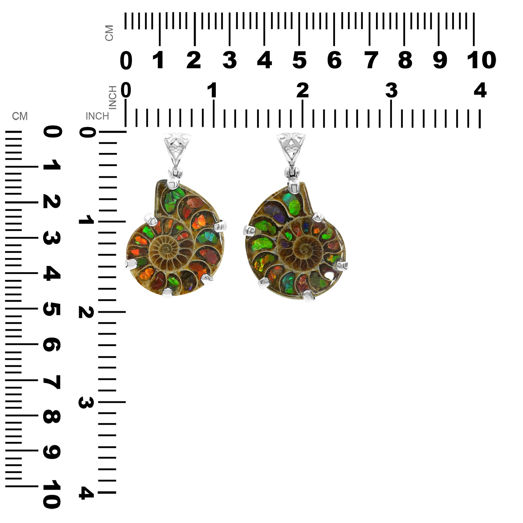 Pendant Ammonite with Ammolite Inlay