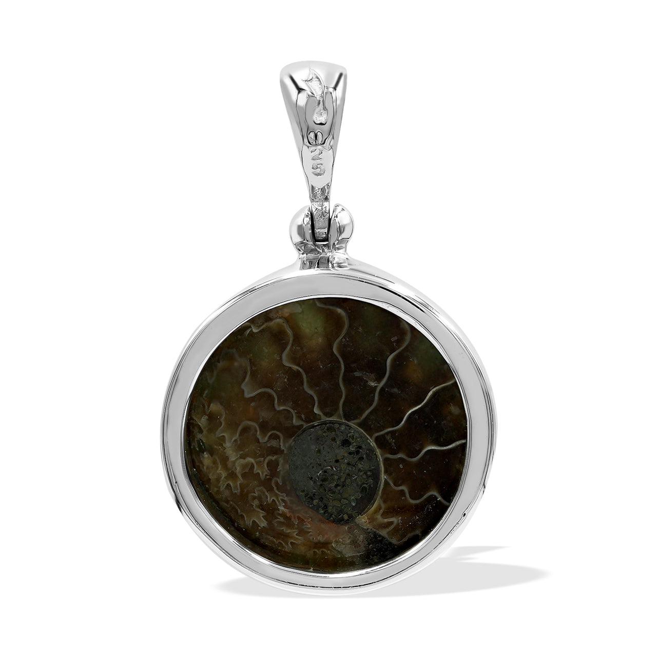 Ammonite with Sleeping Beauty Turquoise Pendant