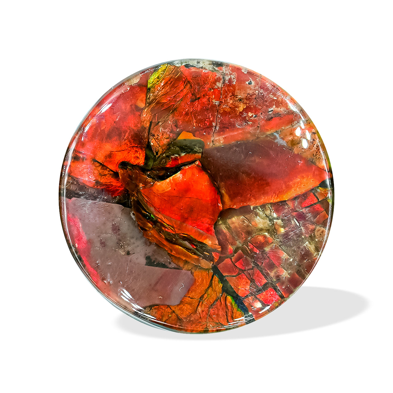 Red Ammolite Inlay Round Cabochon 25mm