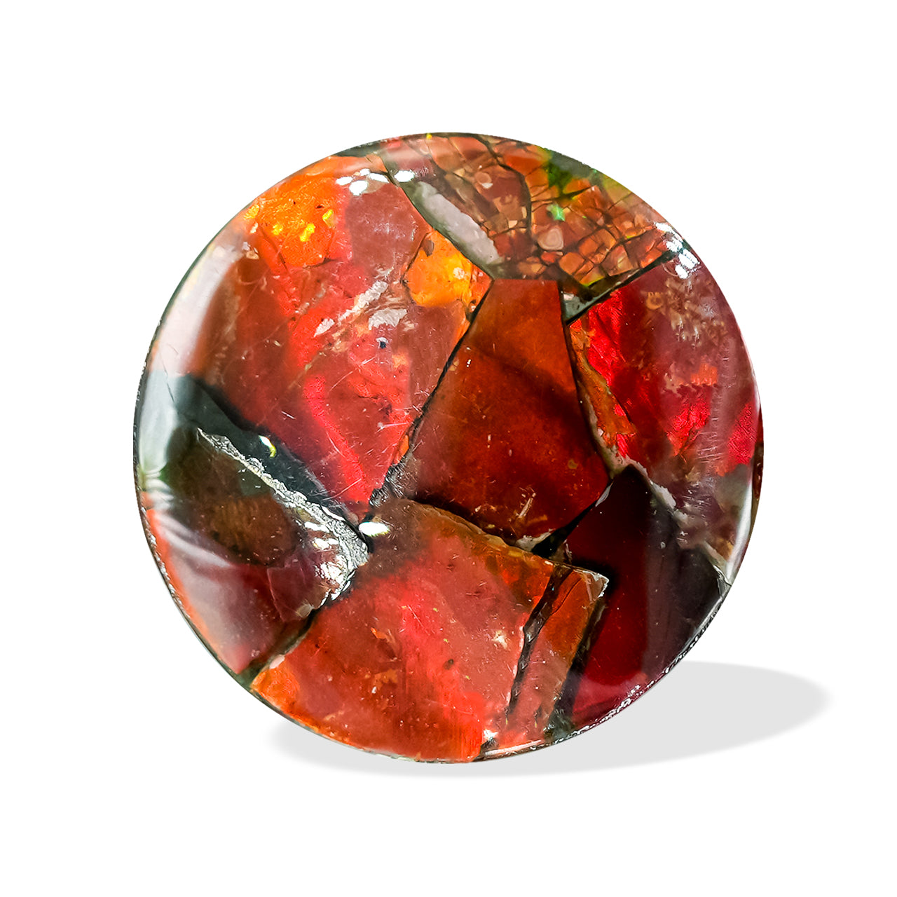 Red Ammolite Inlay Round Cabochon 25mm