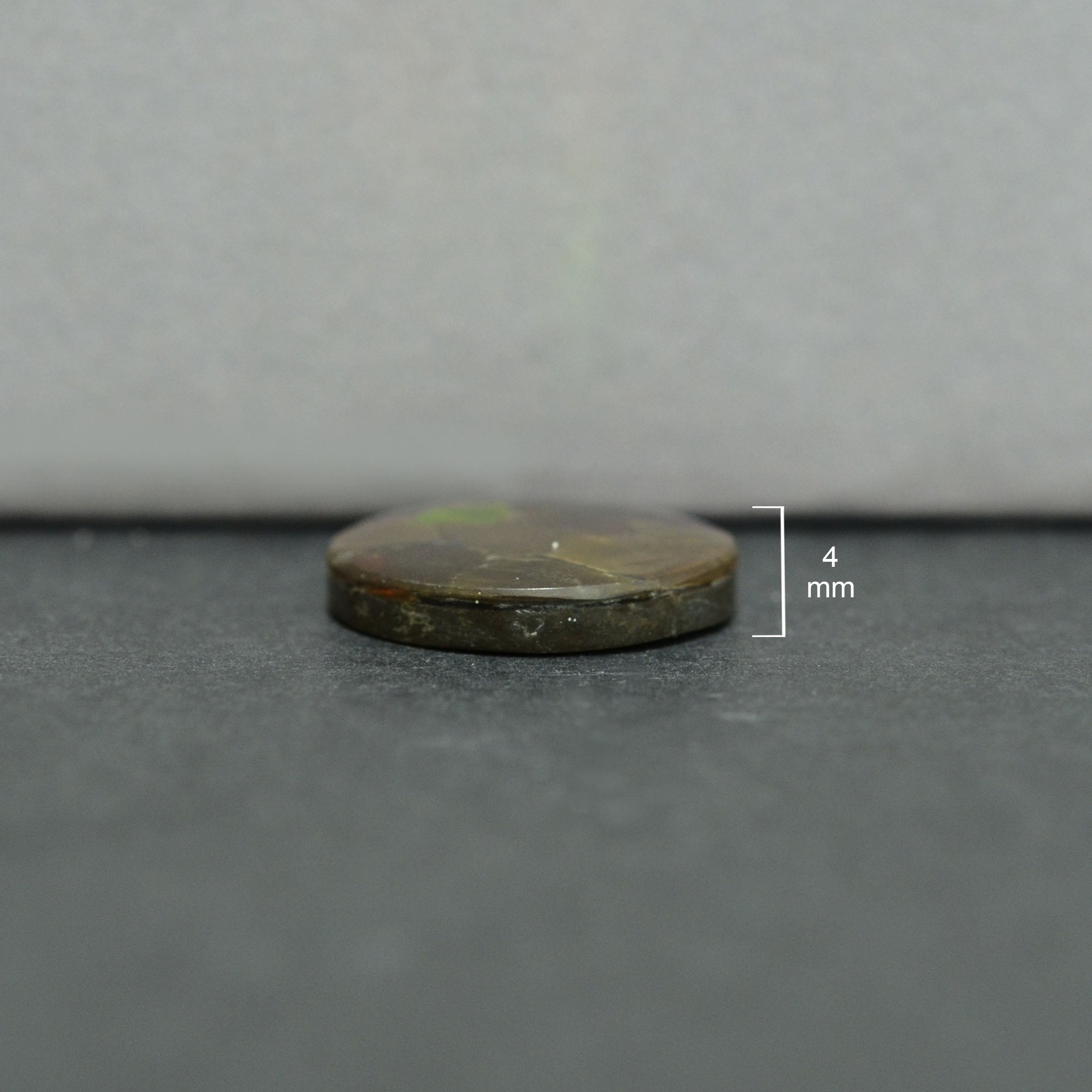 Ammolite Loose Stone
