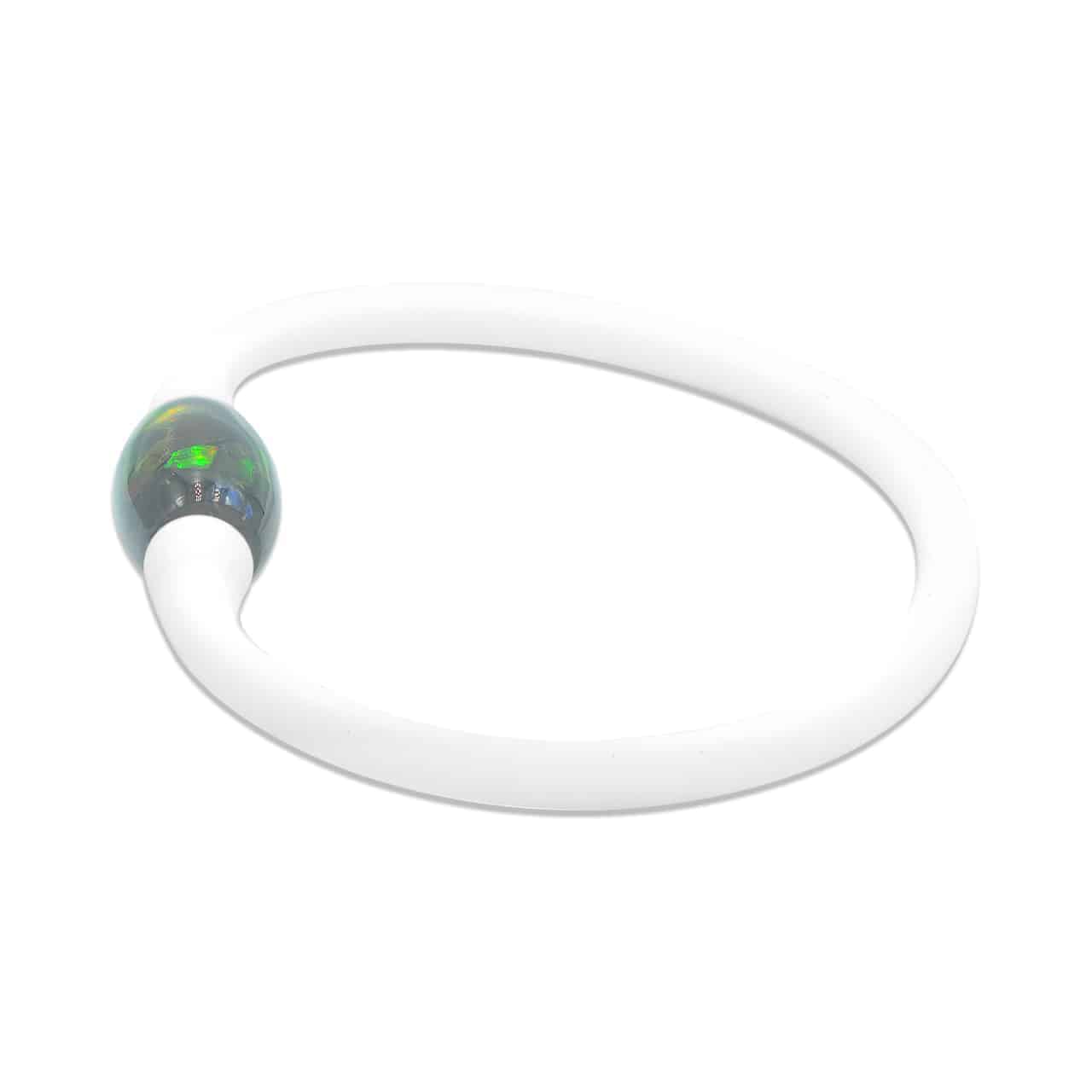 CAMLSB001.2