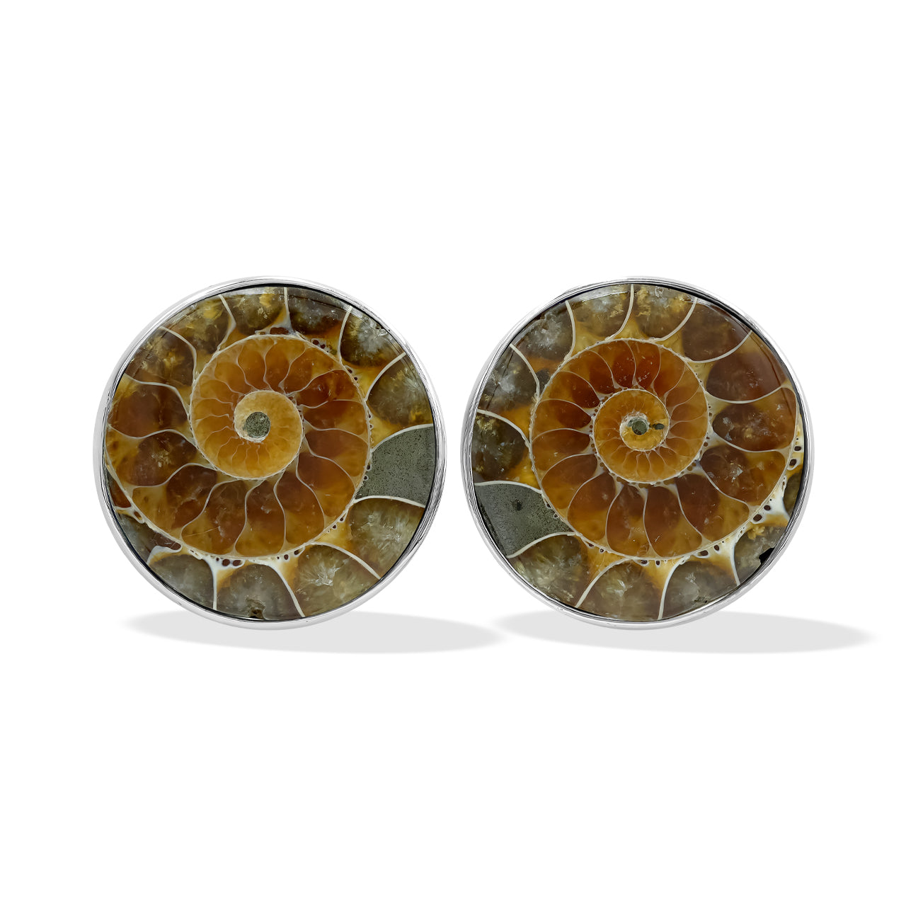 Ammonite Post Style Earrings Round 20mm