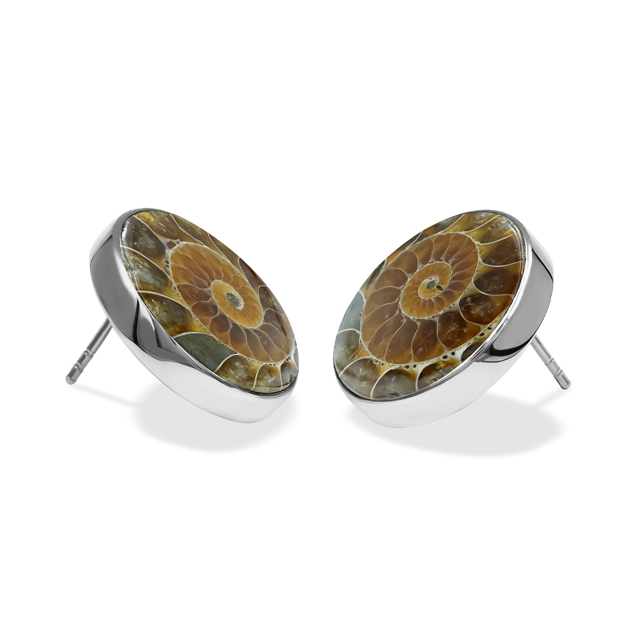 Ammonite Post Style Earrings Round 20mm