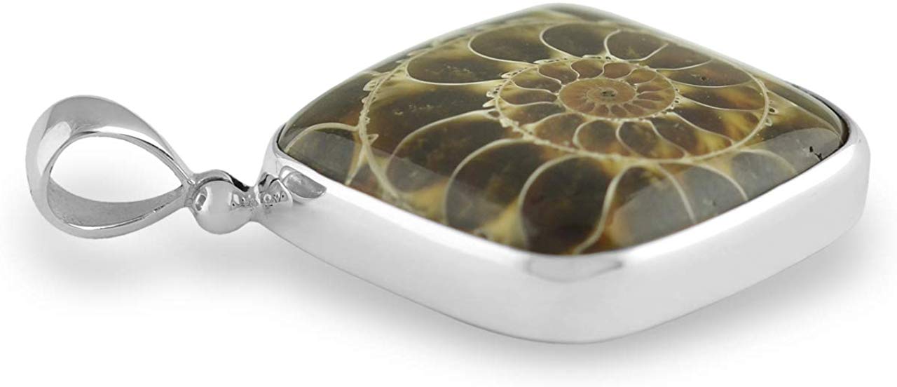 Angled front view of the fossilized ammonite square pendant showing the spiral chamber and silver frame.