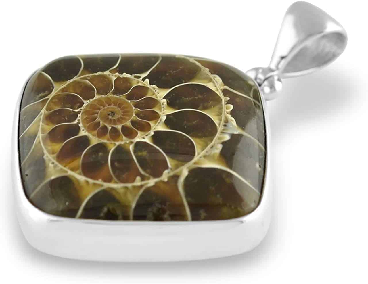 Third angled front view of the fossilized ammonite square pendant highlighting the spiral chamber.
