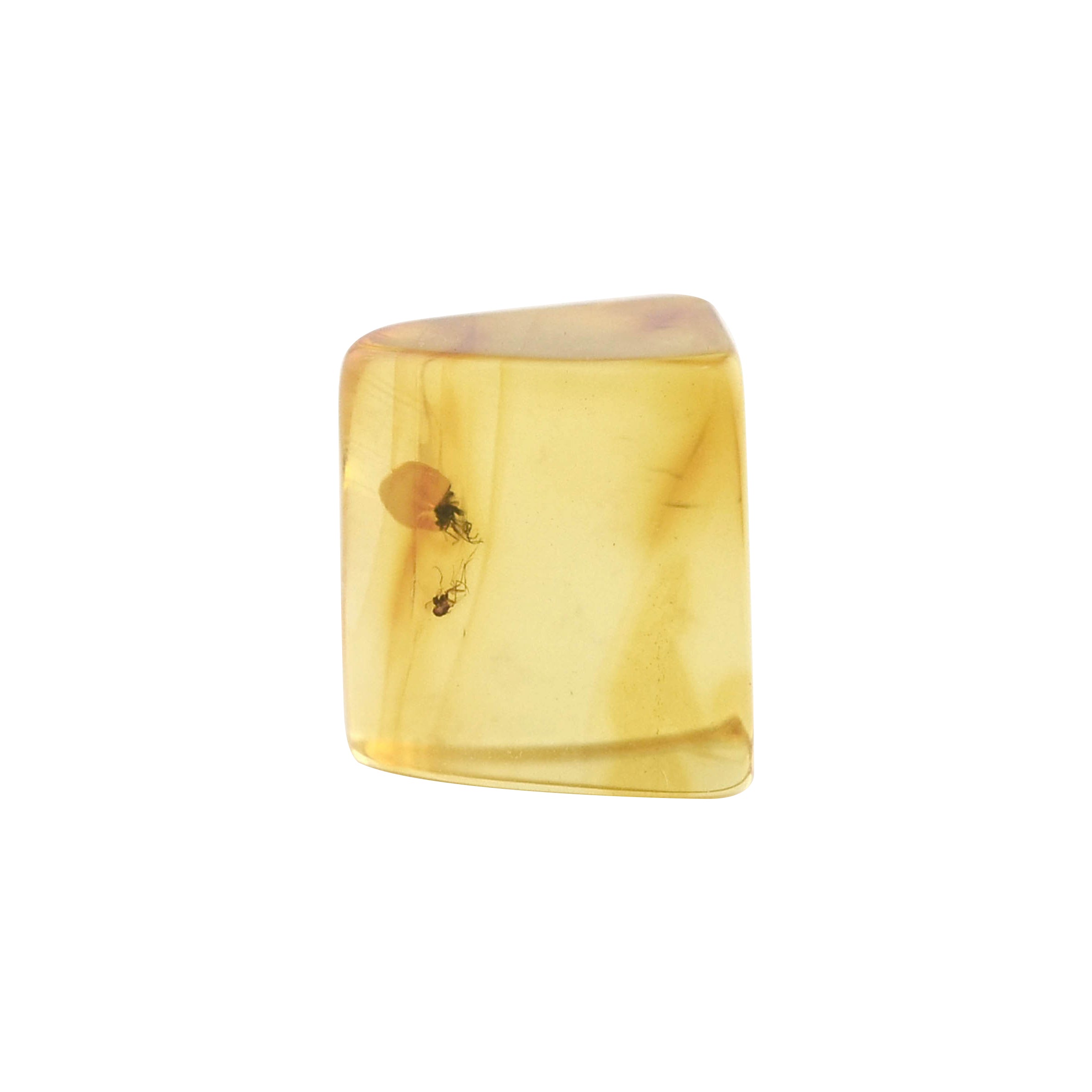 Baltic Amber with Insects Inclusion