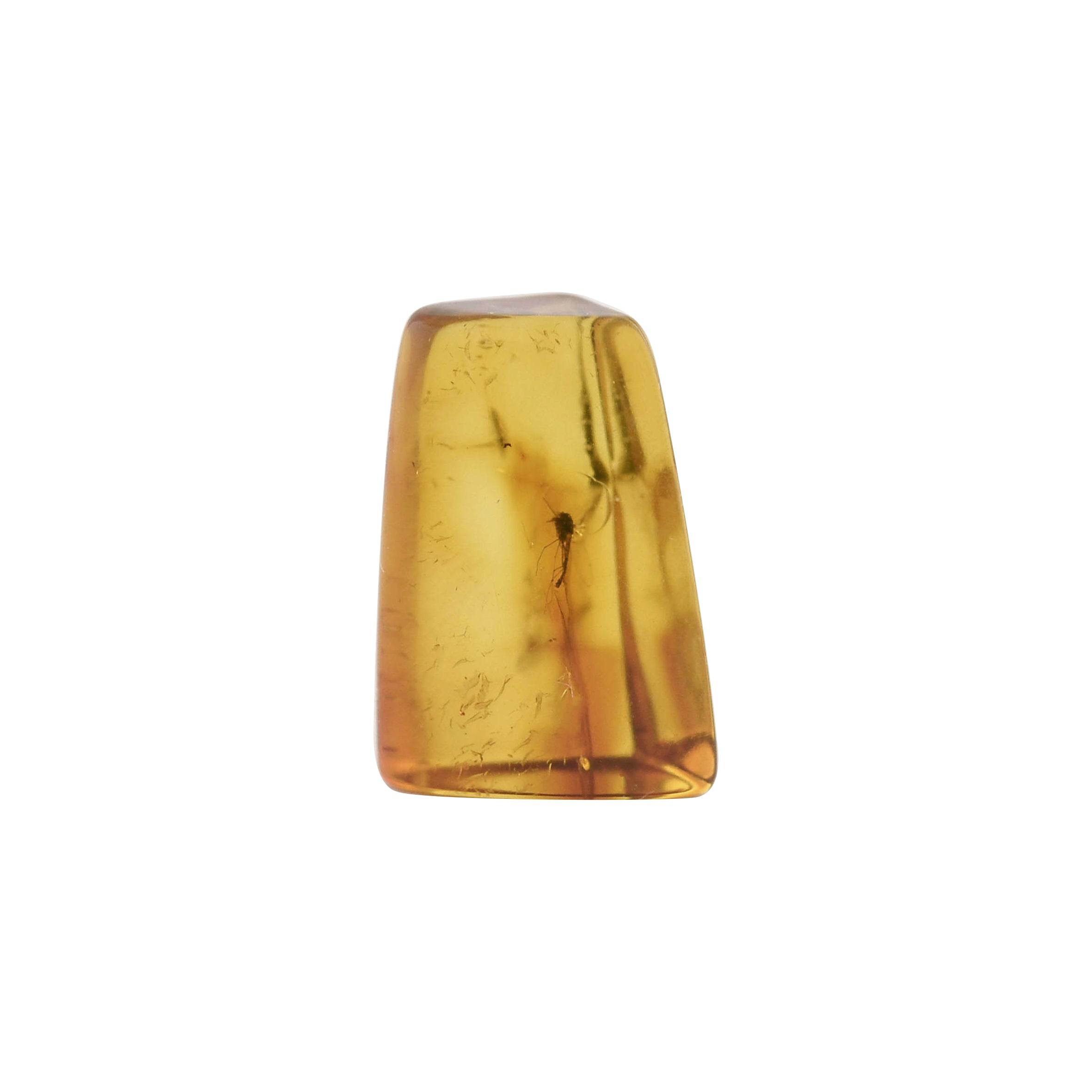 Baltic Amber with Insects Inclusion