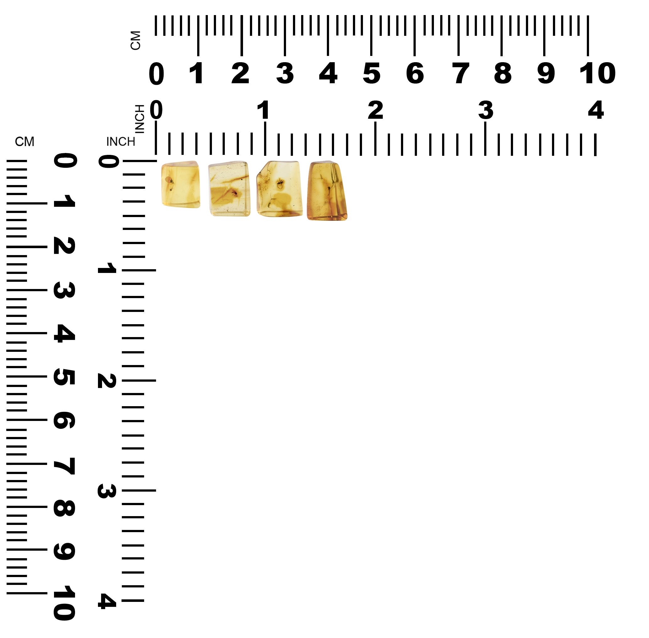 Baltic Amber with Insects Inclusion
