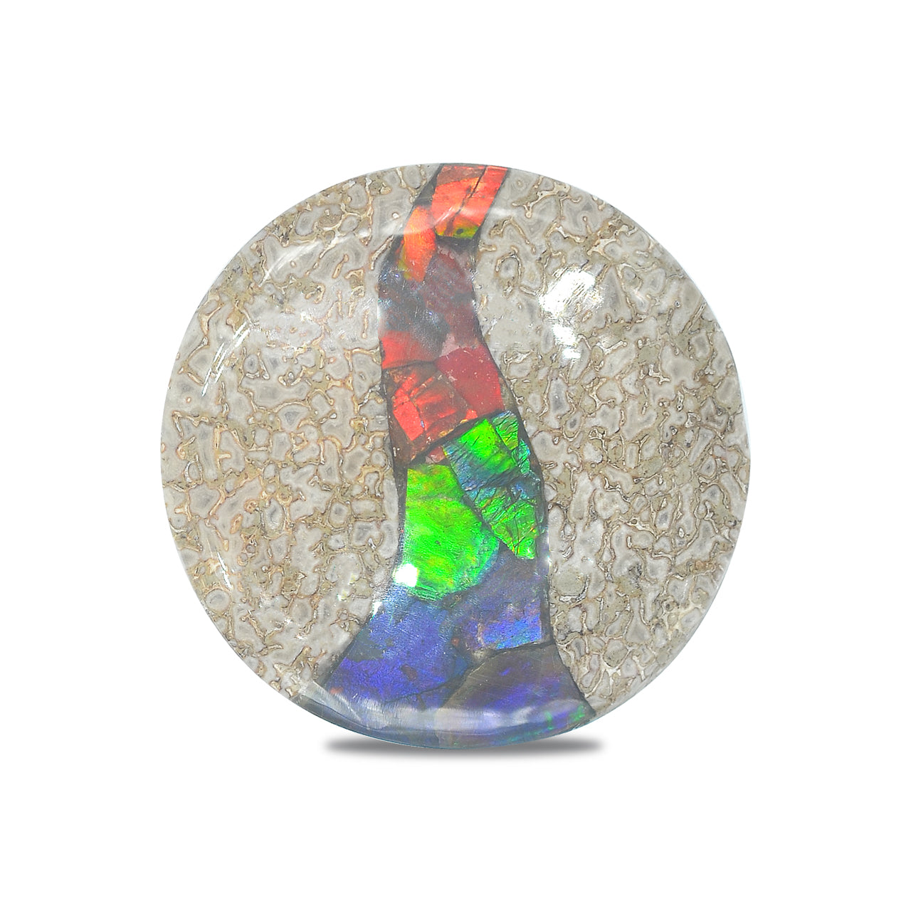 Dinosaur Bone with Ammolite Inlay round 35mm
