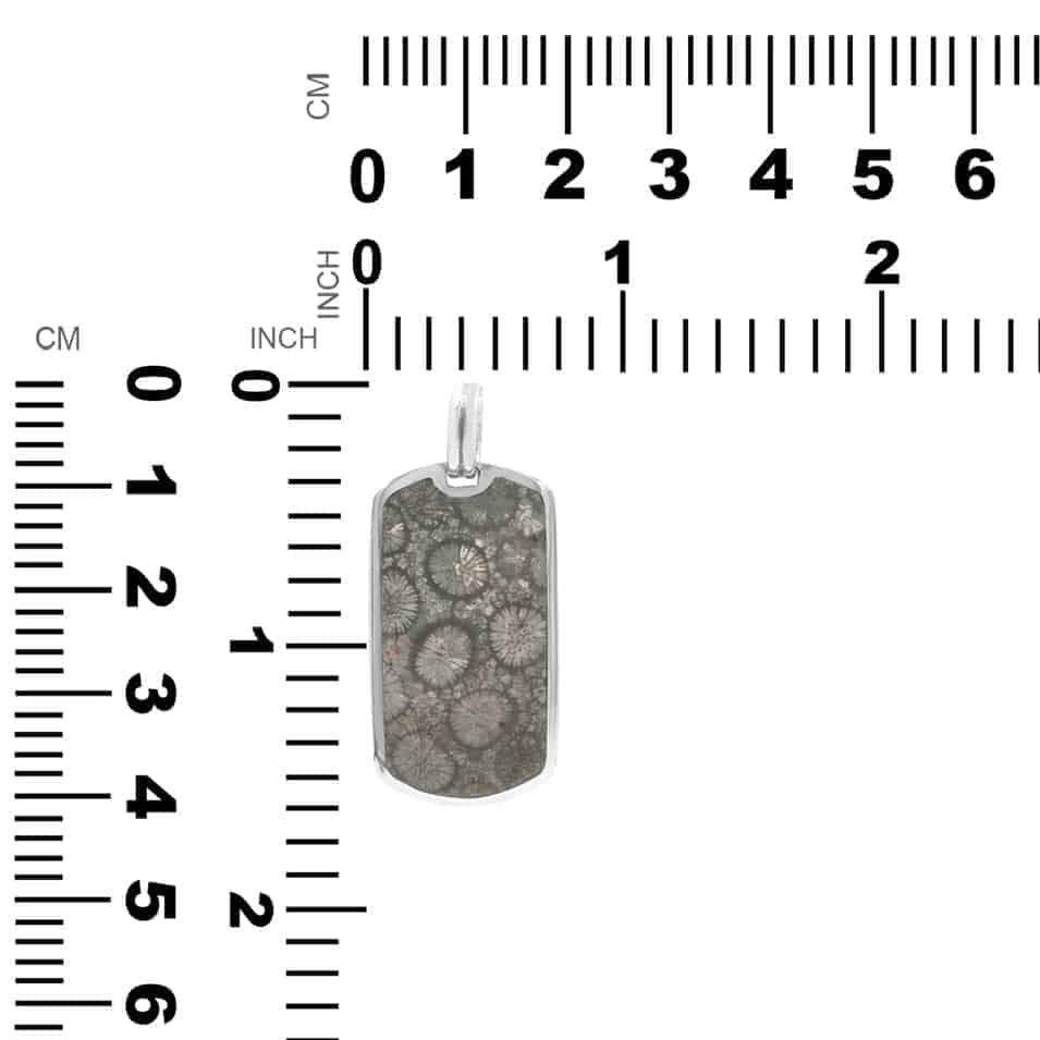 CFCLPE004 (5)