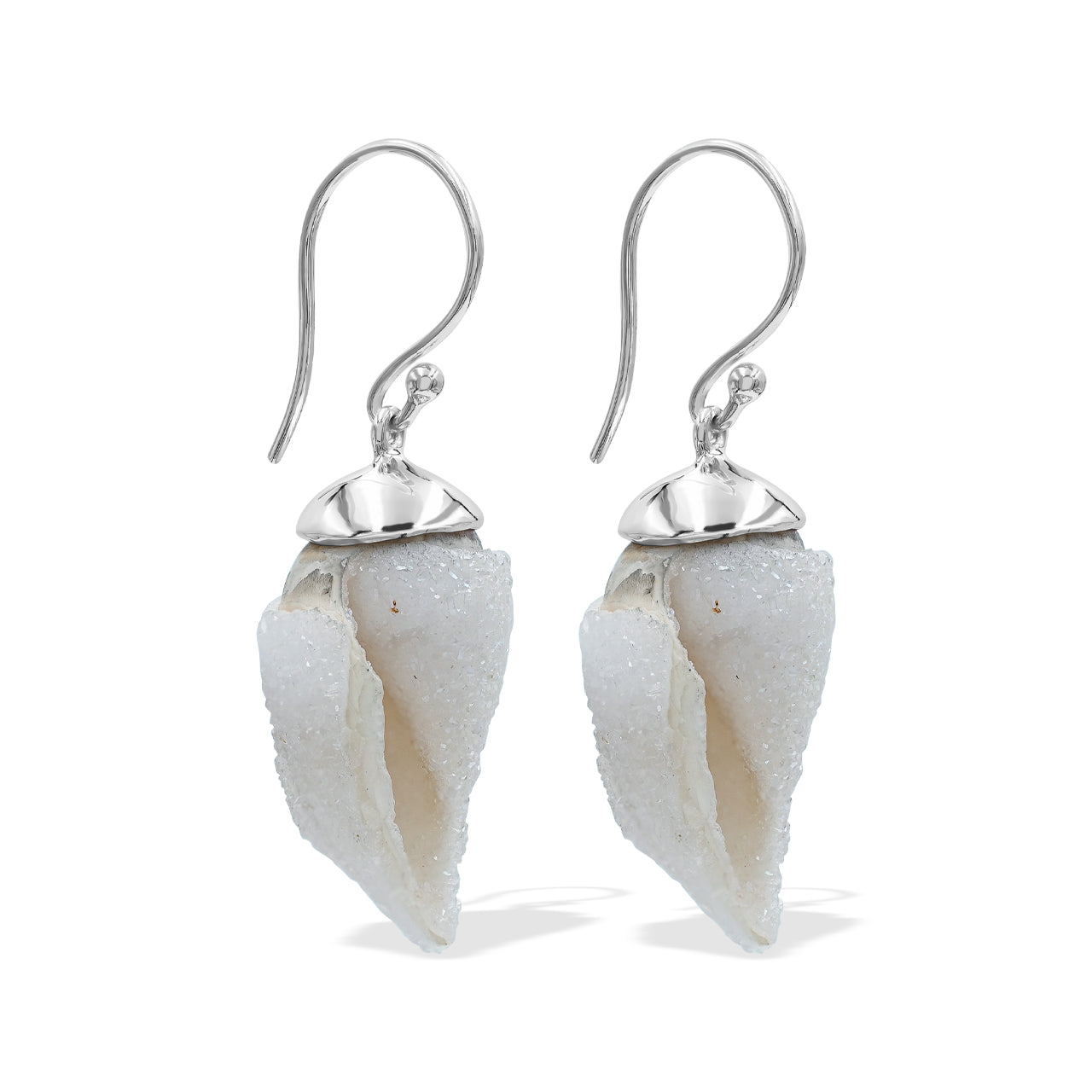 Drusy Fossilized Shell Earring