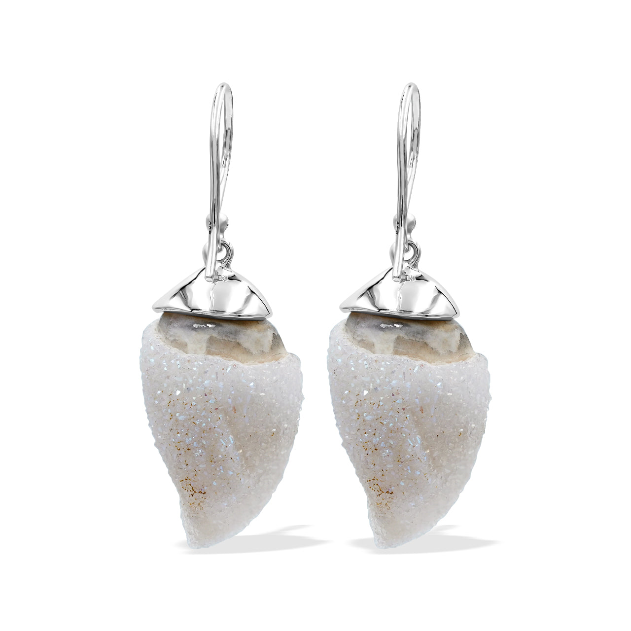 Drusy Fossilized Shell Earring