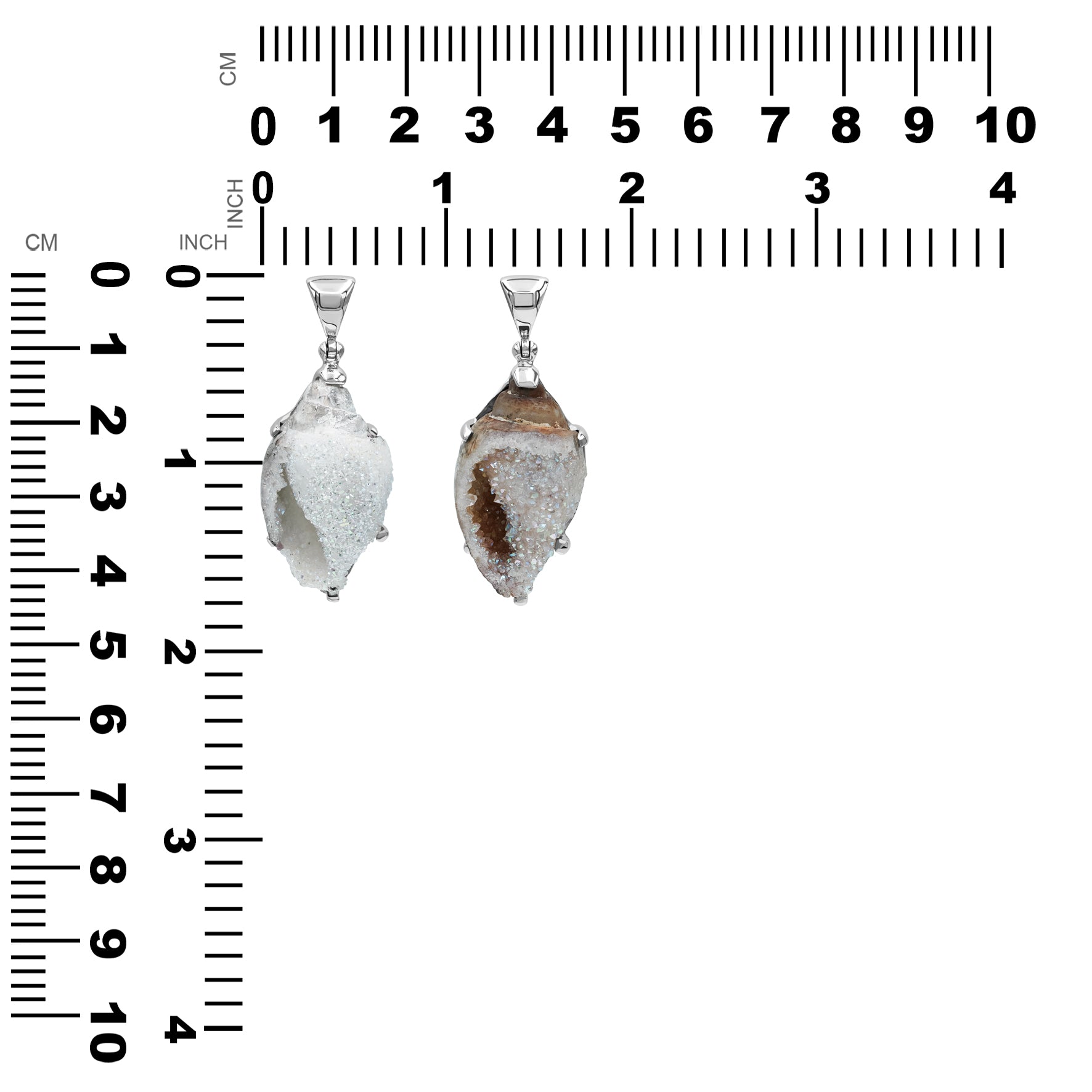 Exquisite Drusy Fossillized Shell Pendant