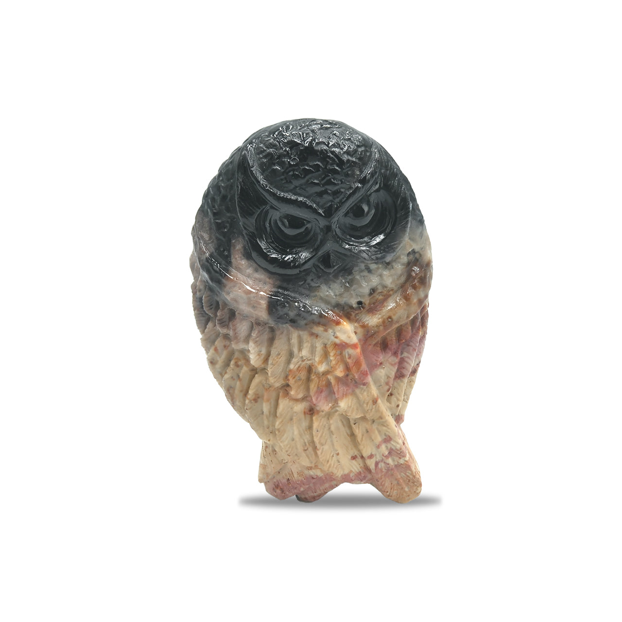 Carved Fossil Wood Owl