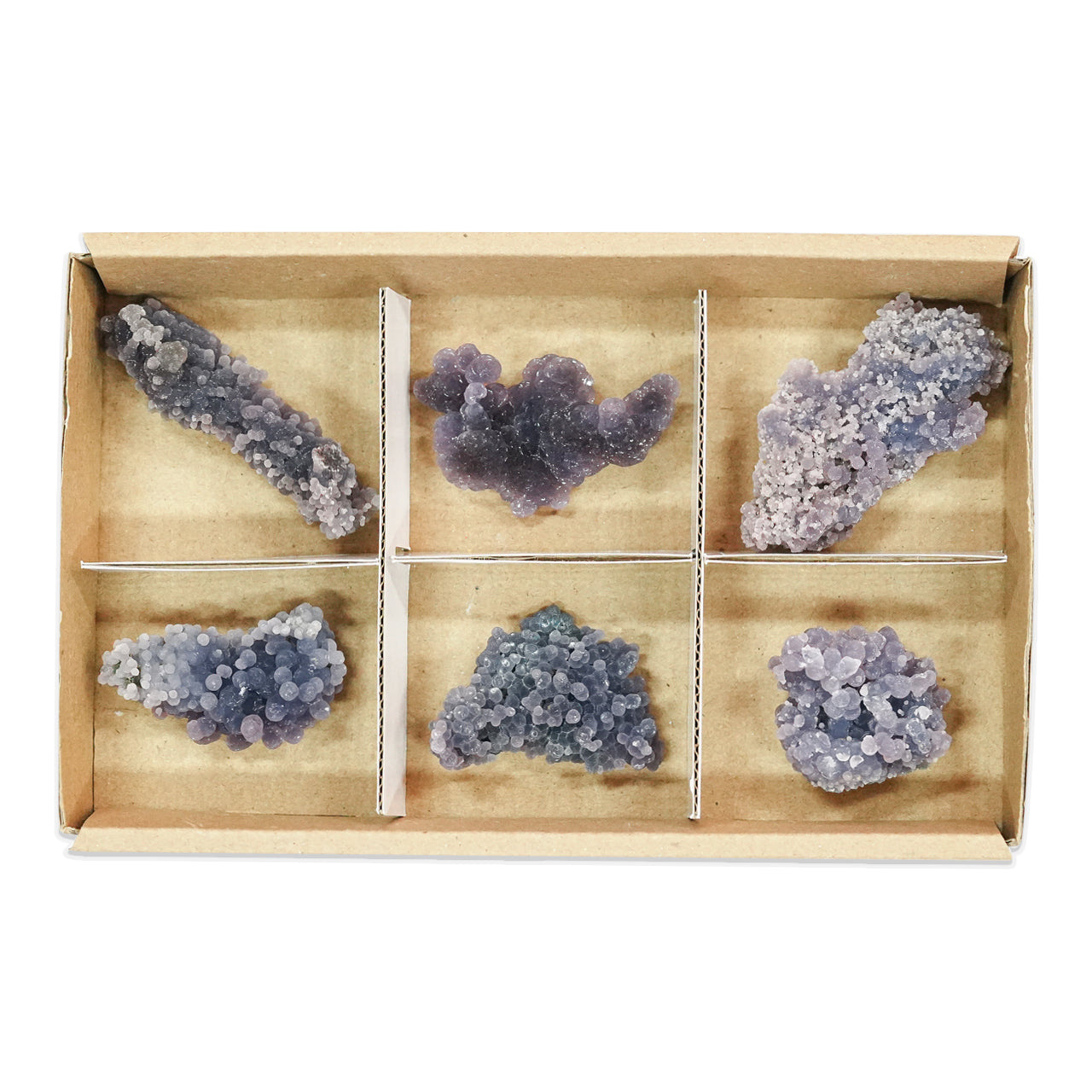 Third front view of six grape chalcedony rough specimens arranged in compartments inside a sturdy flat box with sections, showing irregular botryoidal clusters in purple, gray, and blue tones. Showcasing variations.