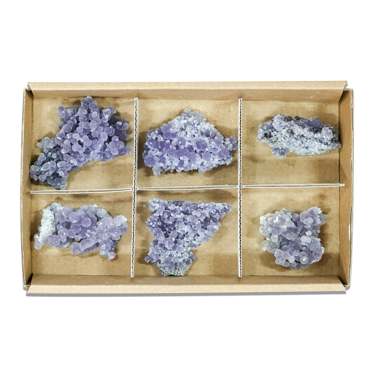 Second front view of six grape chalcedony rough specimens arranged in compartments inside a sturdy flat box with sections, showing irregular botryoidal clusters in purple, gray, and blue tones. Showcasing variations.
