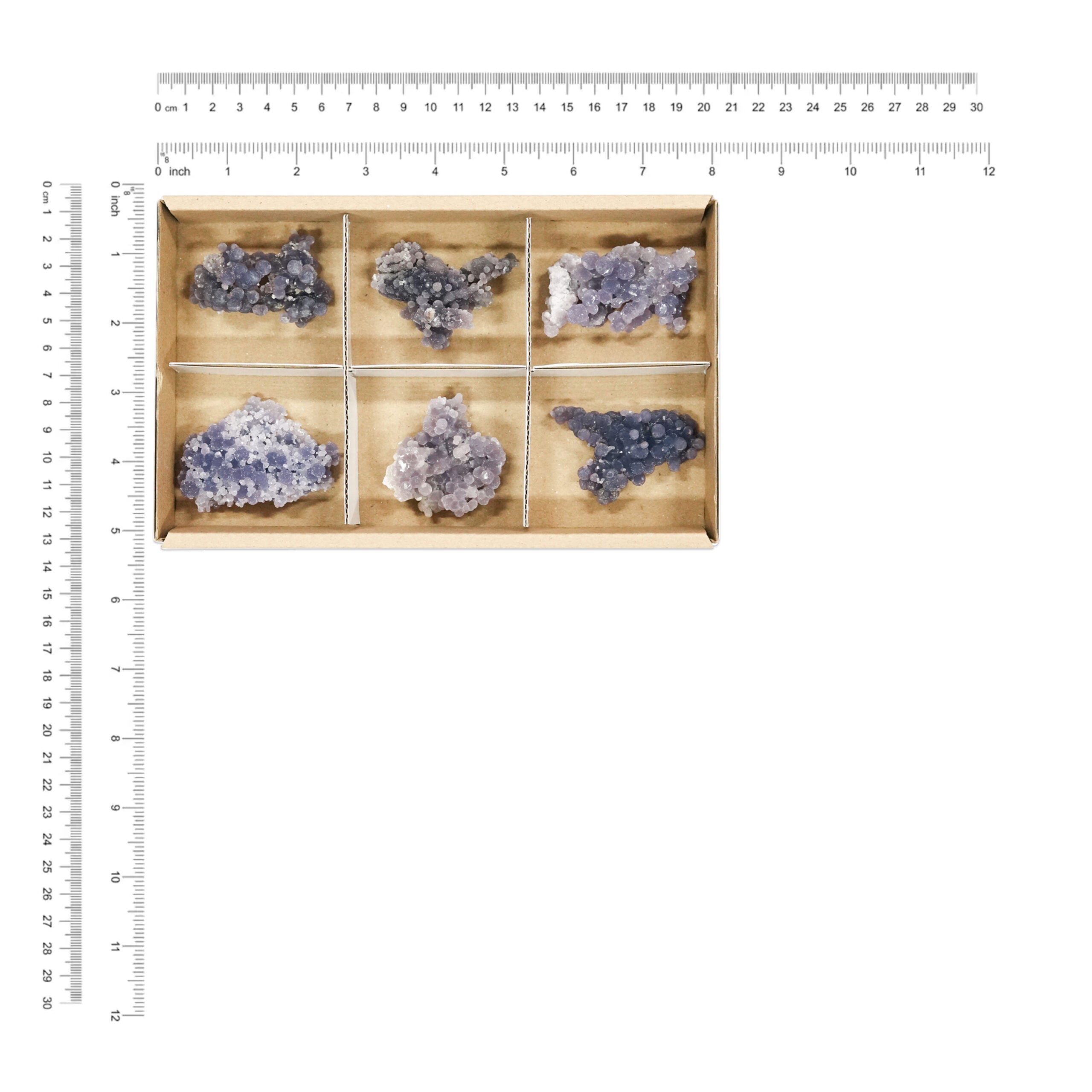 Grape chalcedony rough specimens arranged next to a ruler for size reference, with dimensions shown in inches and millimeters.